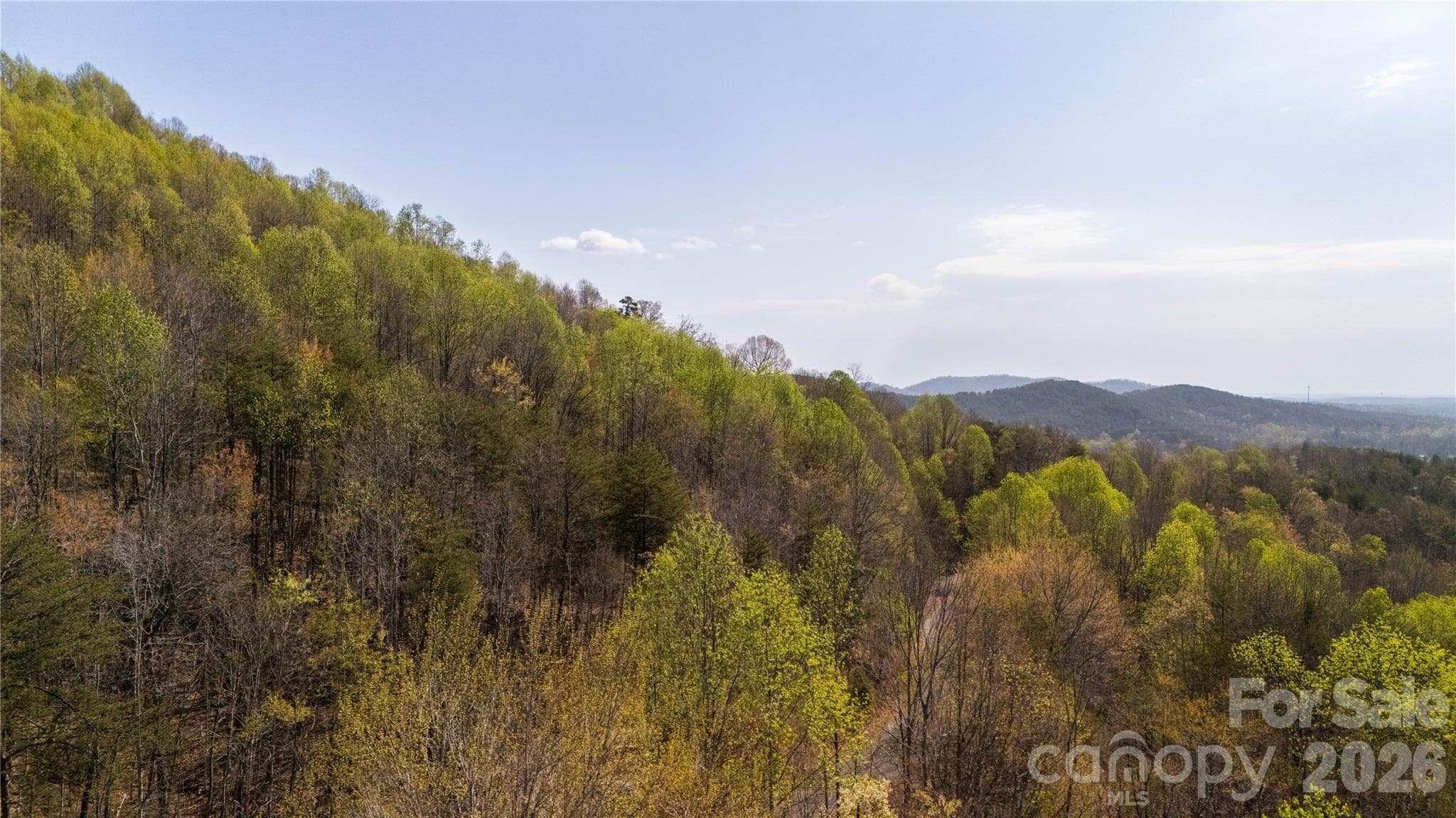 Lot at TBD Owls Ridge Road, Bostic, photo 10 of 14