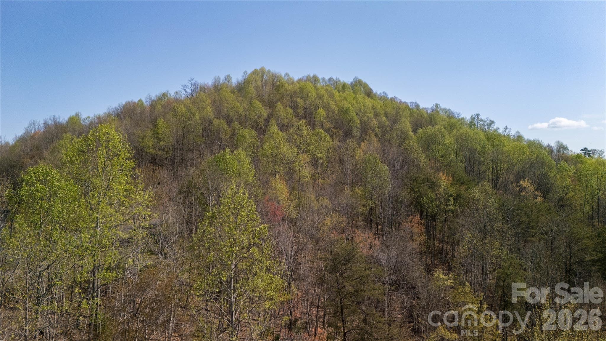 Lot at TBD Owls Ridge Road, Bostic, photo 11 of 14