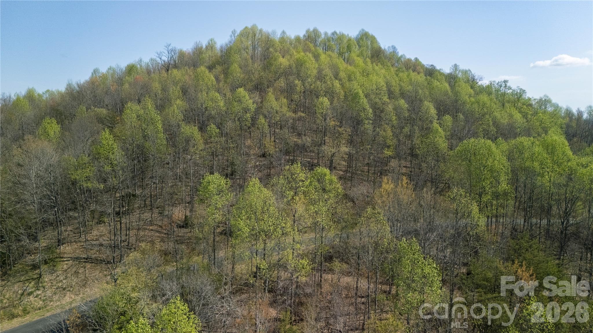 Lot at TBD Owls Ridge Road, Bostic, photo 12 of 14