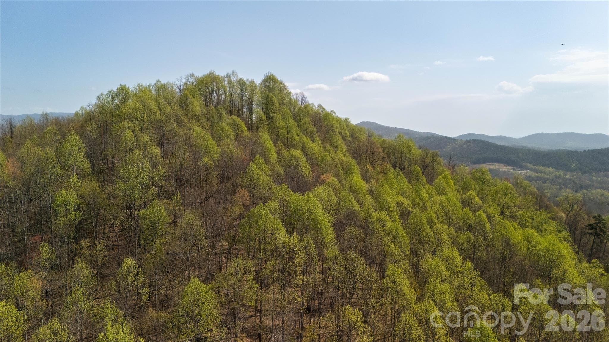 Lot at TBD Owls Ridge Road, Bostic, photo 13 of 14