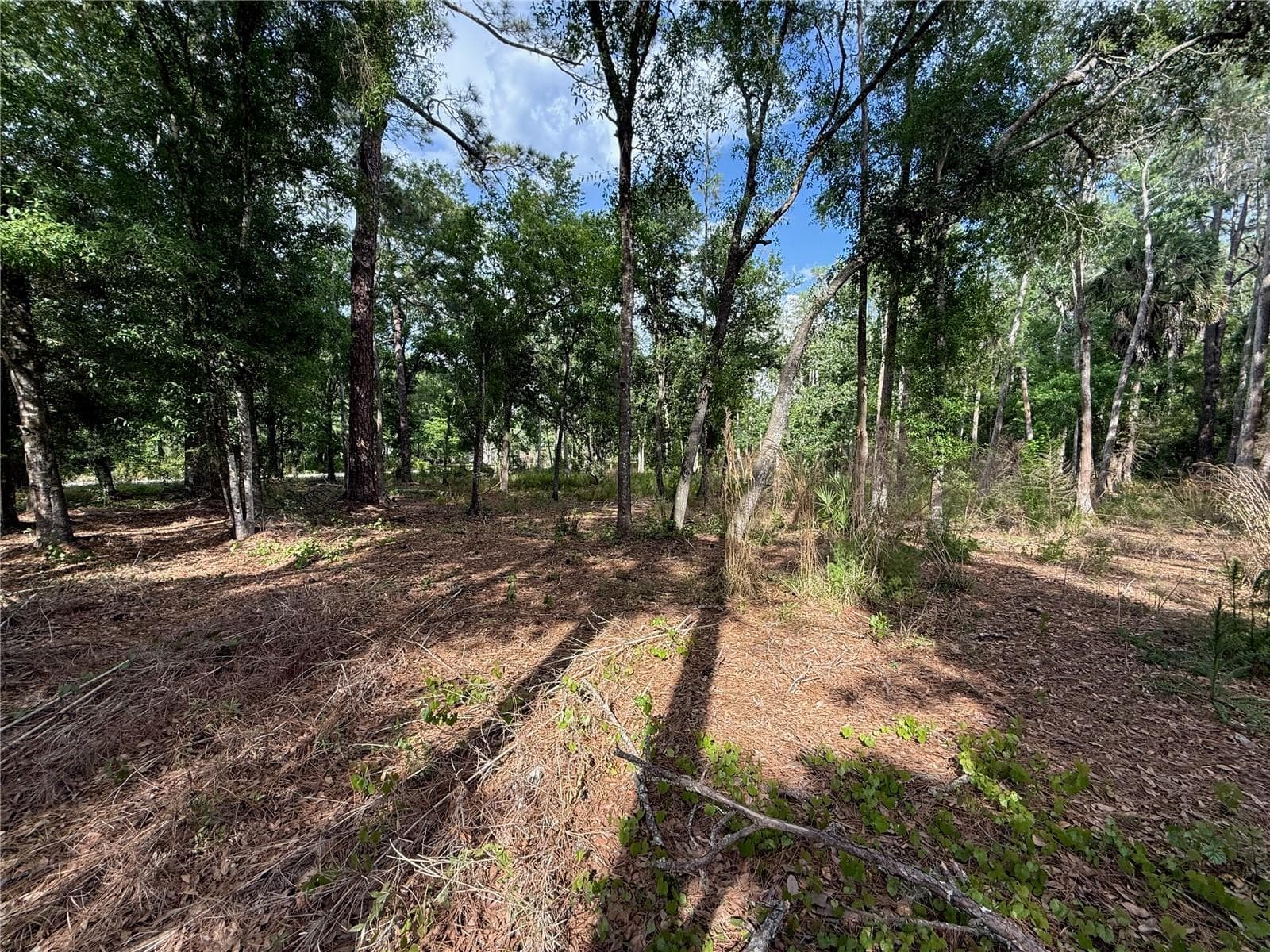 Land at QUAIL HOLLOW BLVD, WESLEY CHAPEL,, photo 7 of 16