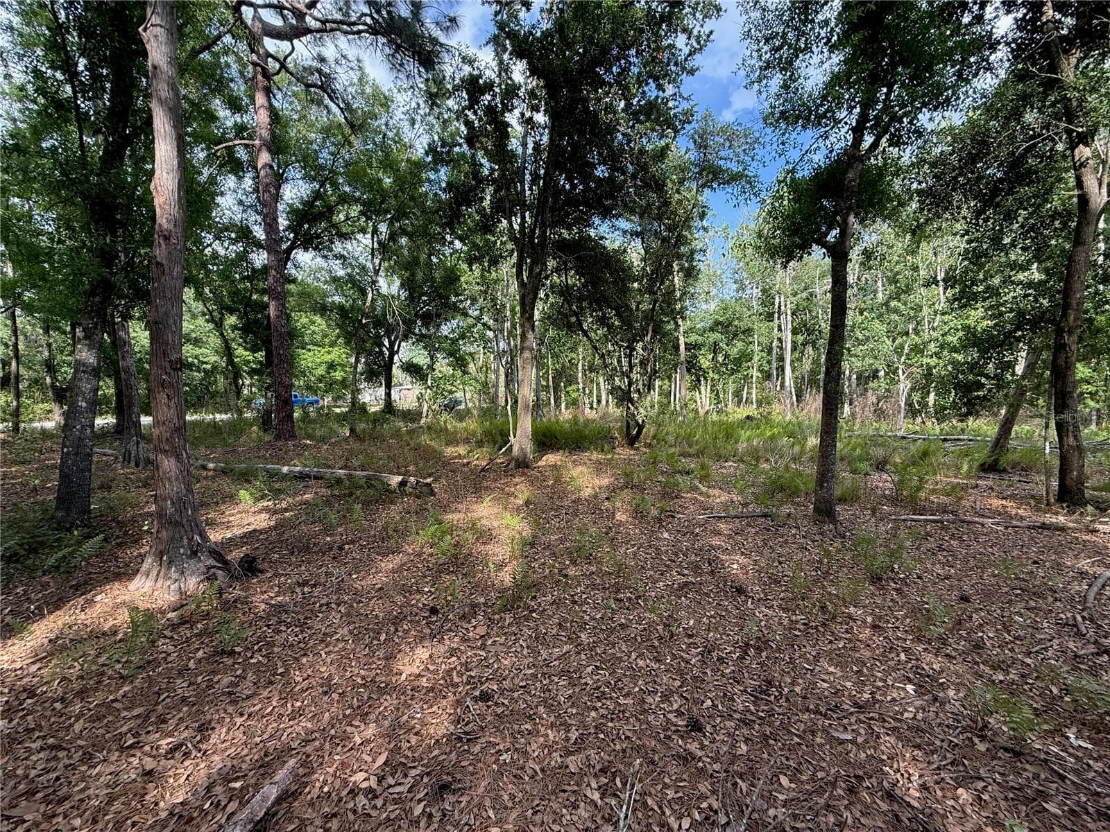 Land at QUAIL HOLLOW BLVD, WESLEY CHAPEL,, photo 10 of 16