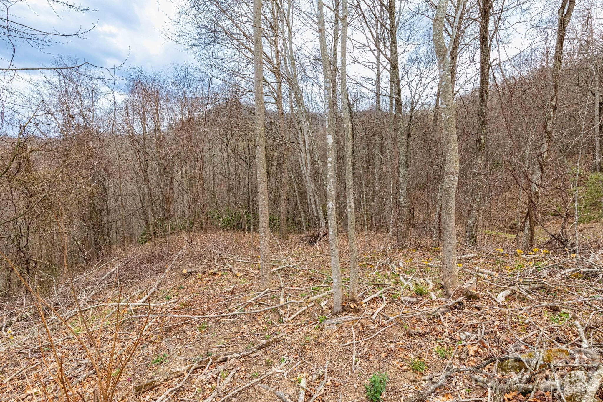 Lot at Clyde, photo 5 of 15