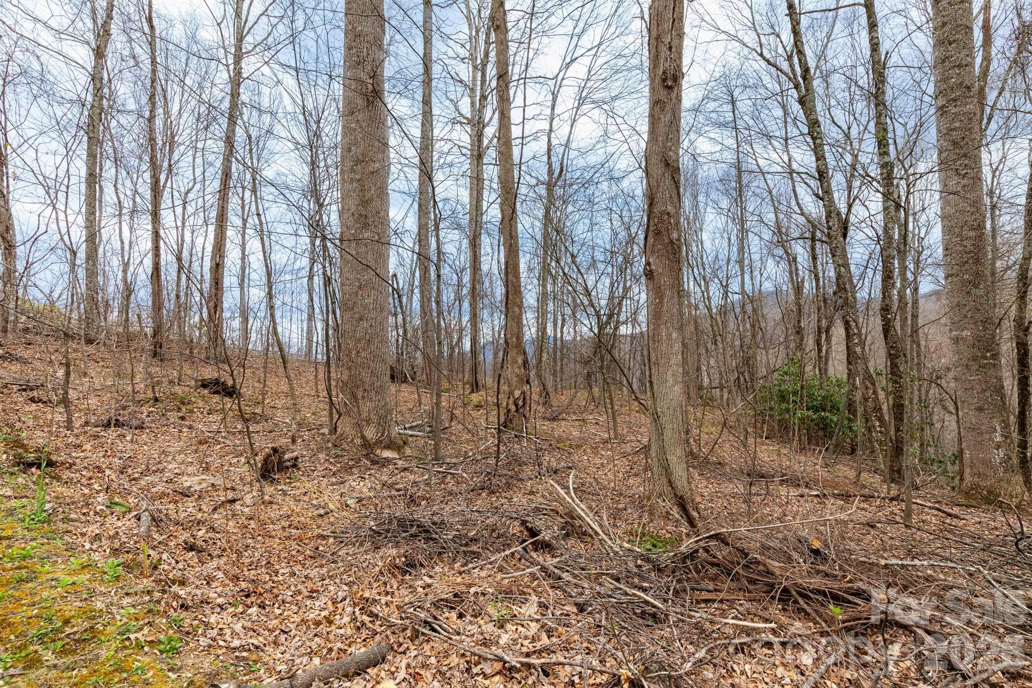 Lot at Clyde, photo 6 of 15