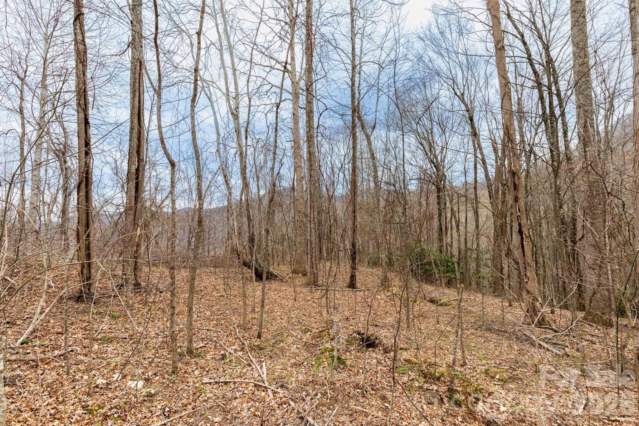 Lot at Clyde, photo 7 of 15