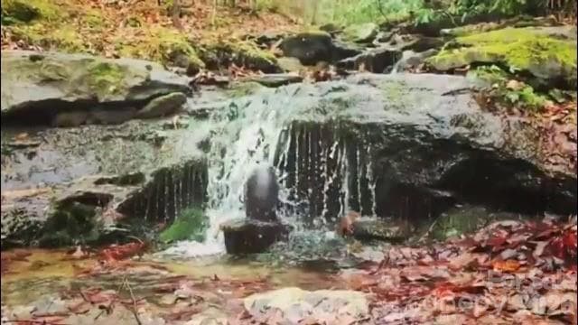 Neighborhood Stream - Clyde