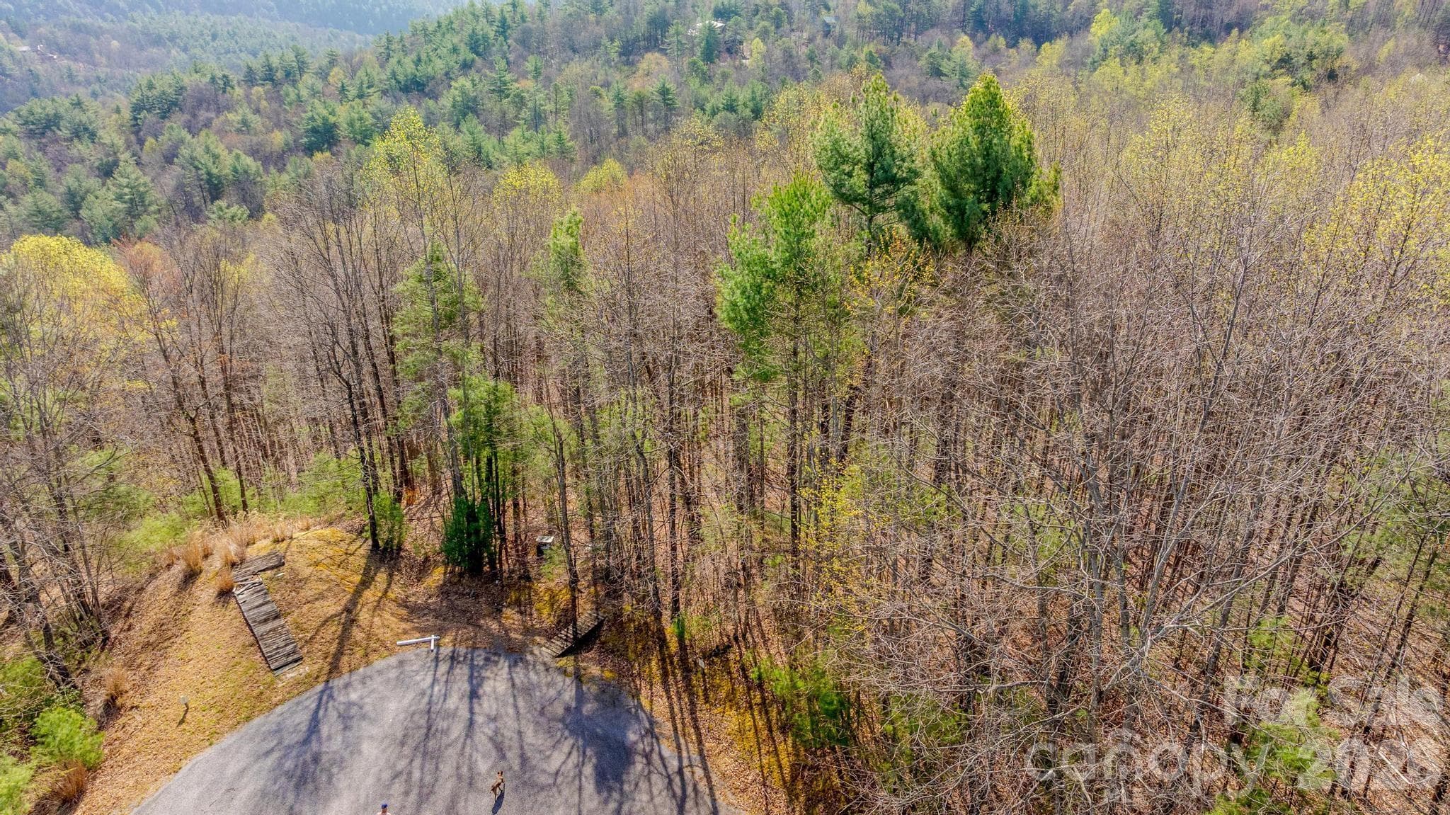 Lot 59 - Lot 59 (7C) Cielo Drive, Purlear