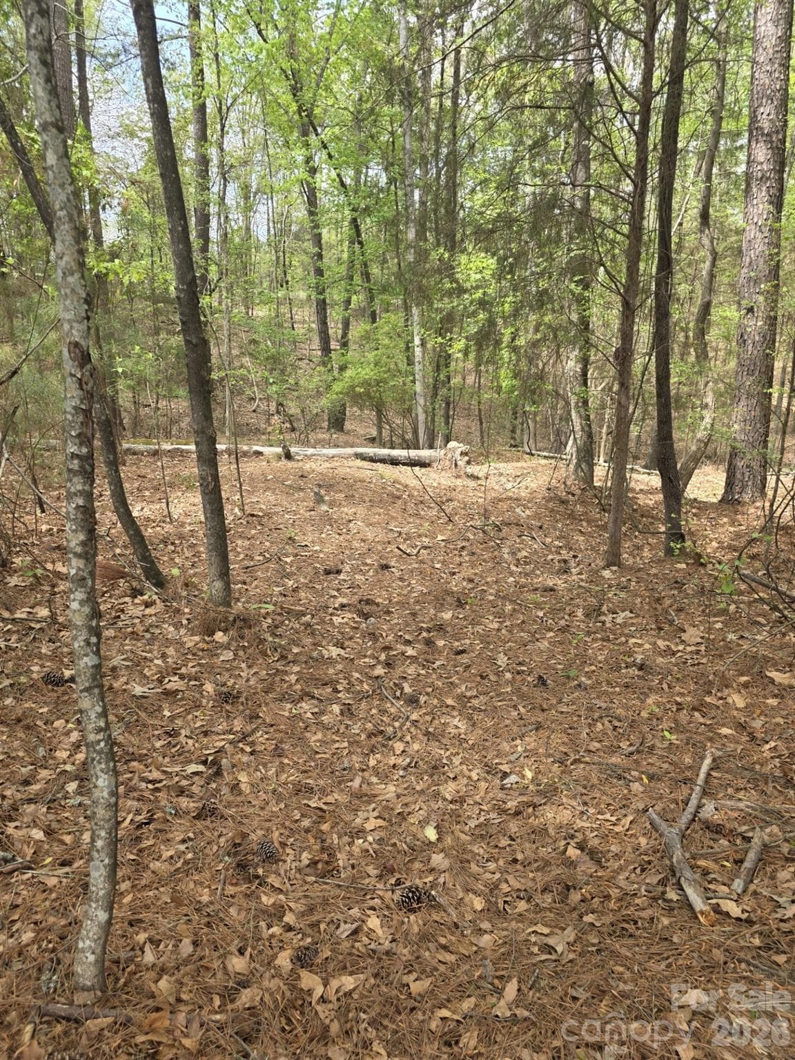 Lot at York, photo 2 of 10