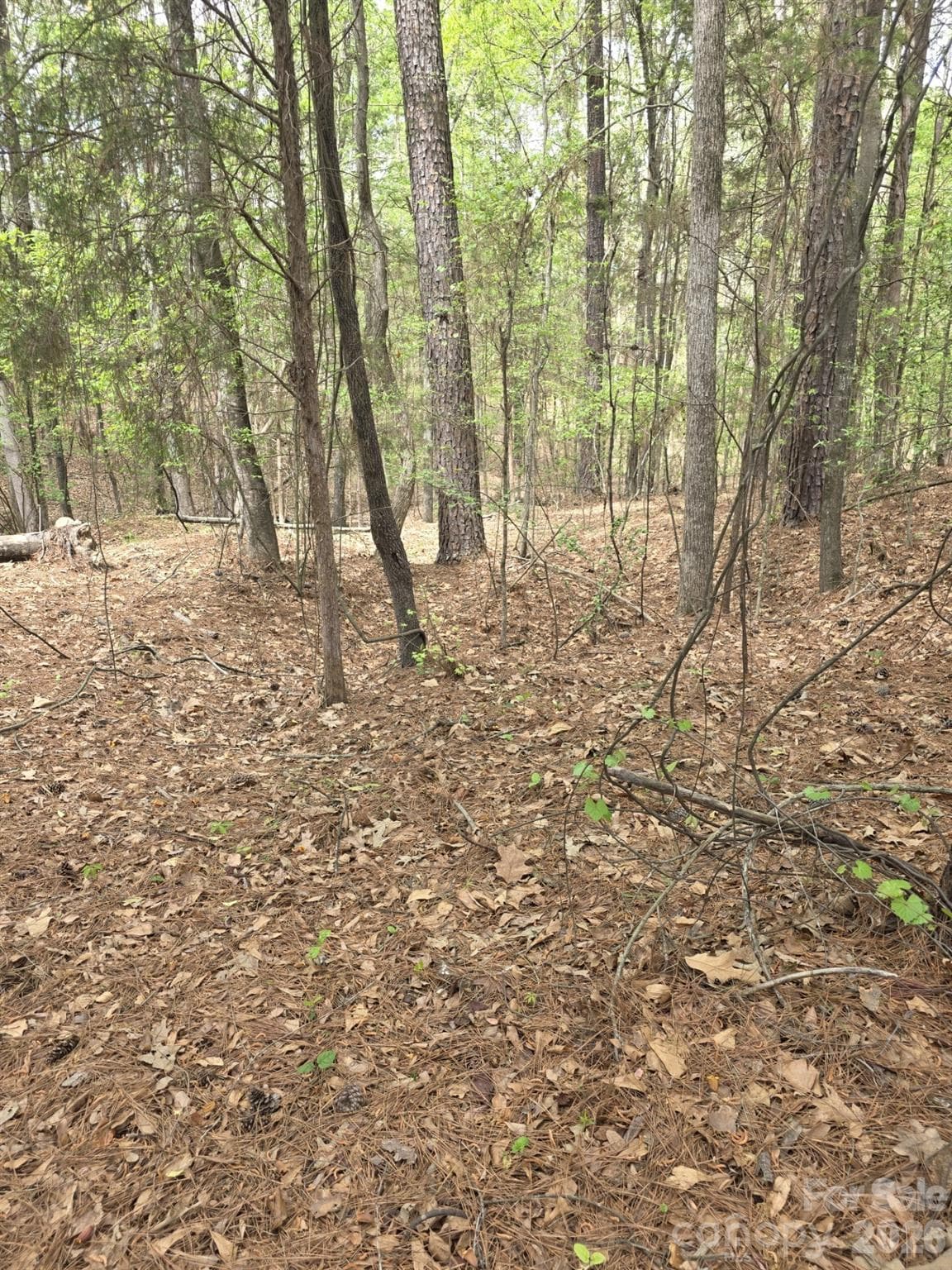 Lot at York, photo 3 of 10