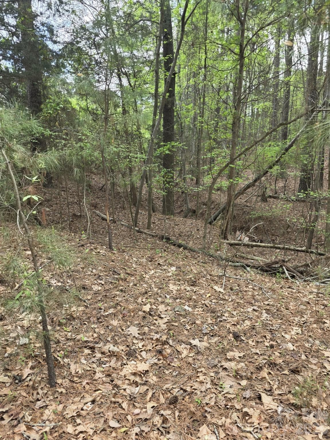 Lot at York, photo 4 of 10