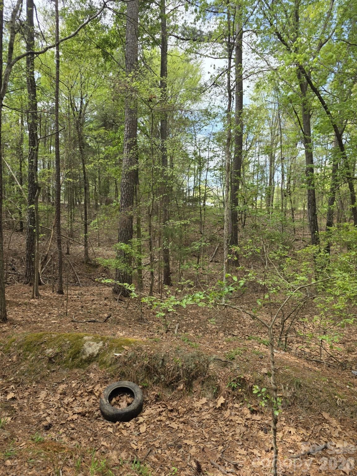 Lot at York, photo 6 of 10