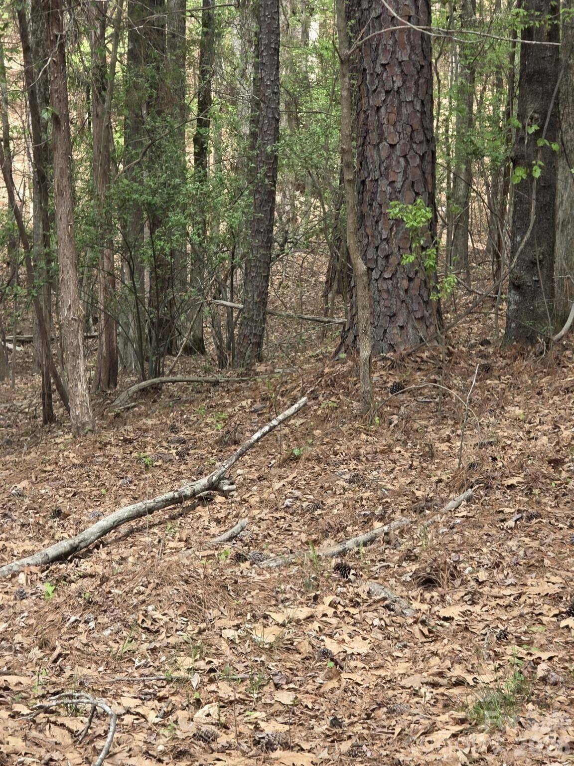 Lot at York, photo 7 of 10