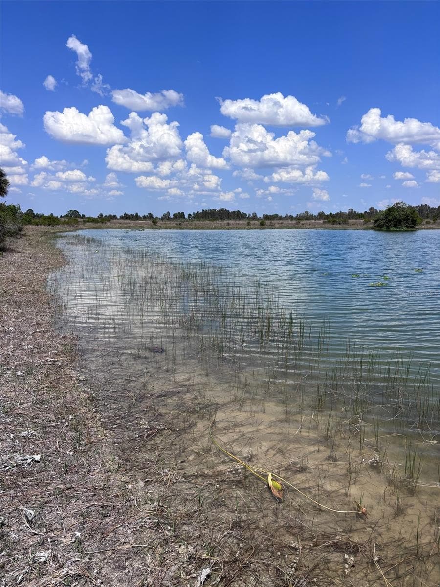 View east along north shore line...excellent bedding are for fish within the lake. - 48033 BERMONT RD, PUNTA GORDA