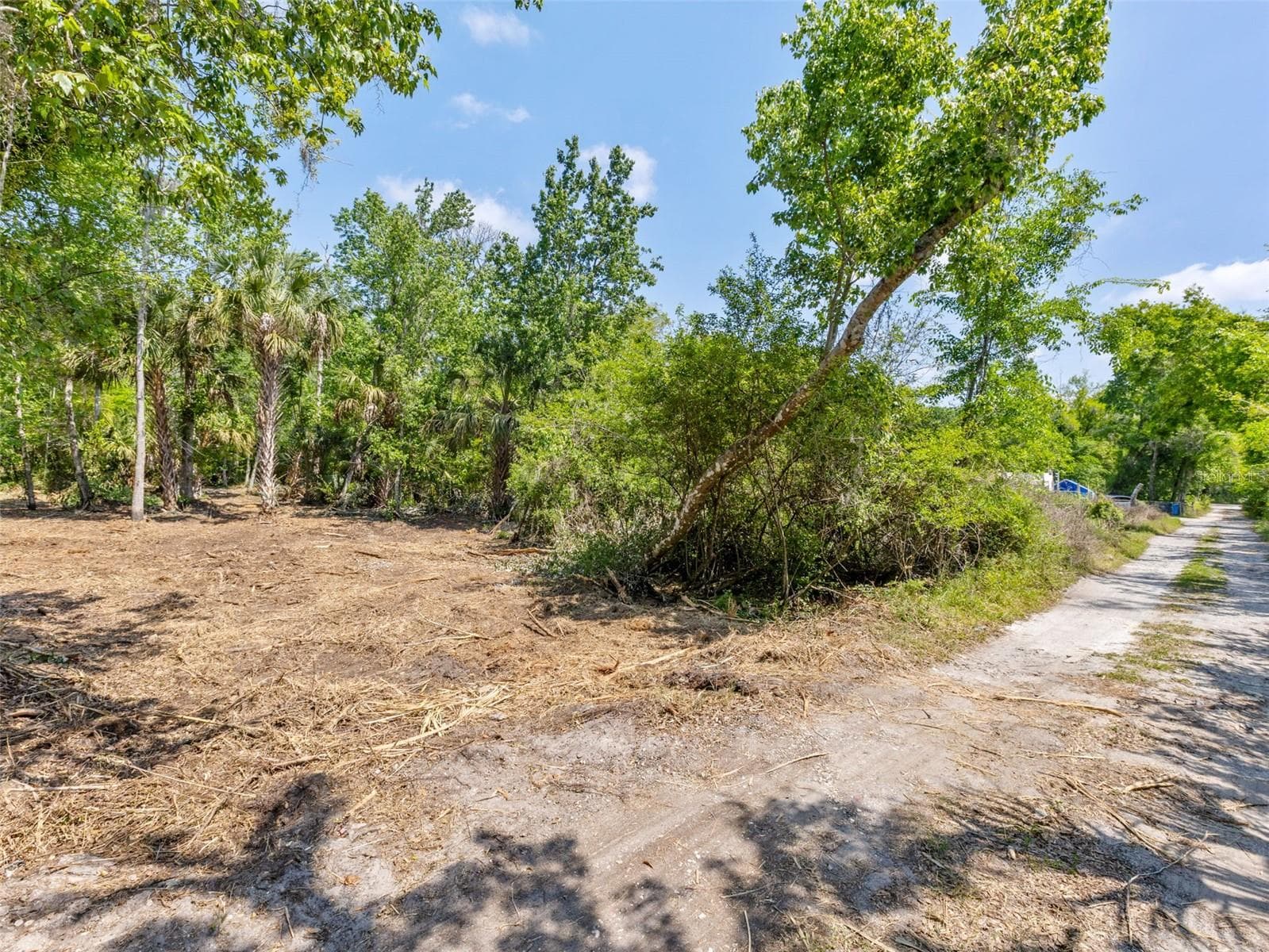 Land at 0 MUDDY WATER TRL, THONOTOSASSA, photo 3 of 34