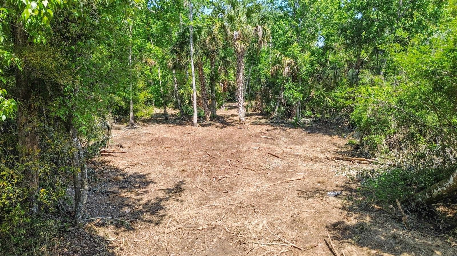 Land at 0 MUDDY WATER TRL, THONOTOSASSA, photo 19 of 34
