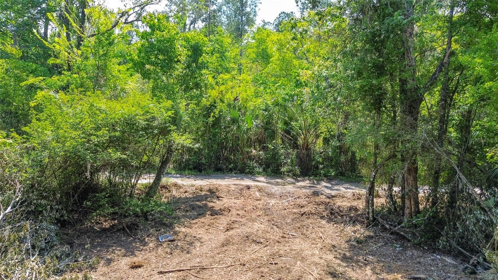 Land at 0 MUDDY WATER TRL, THONOTOSASSA, photo 20 of 34
