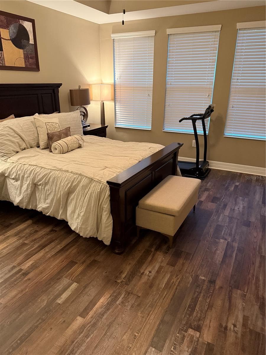 Master Bedroom - 4432 VERMILLION SKY DR, WESLEY CHAPEL