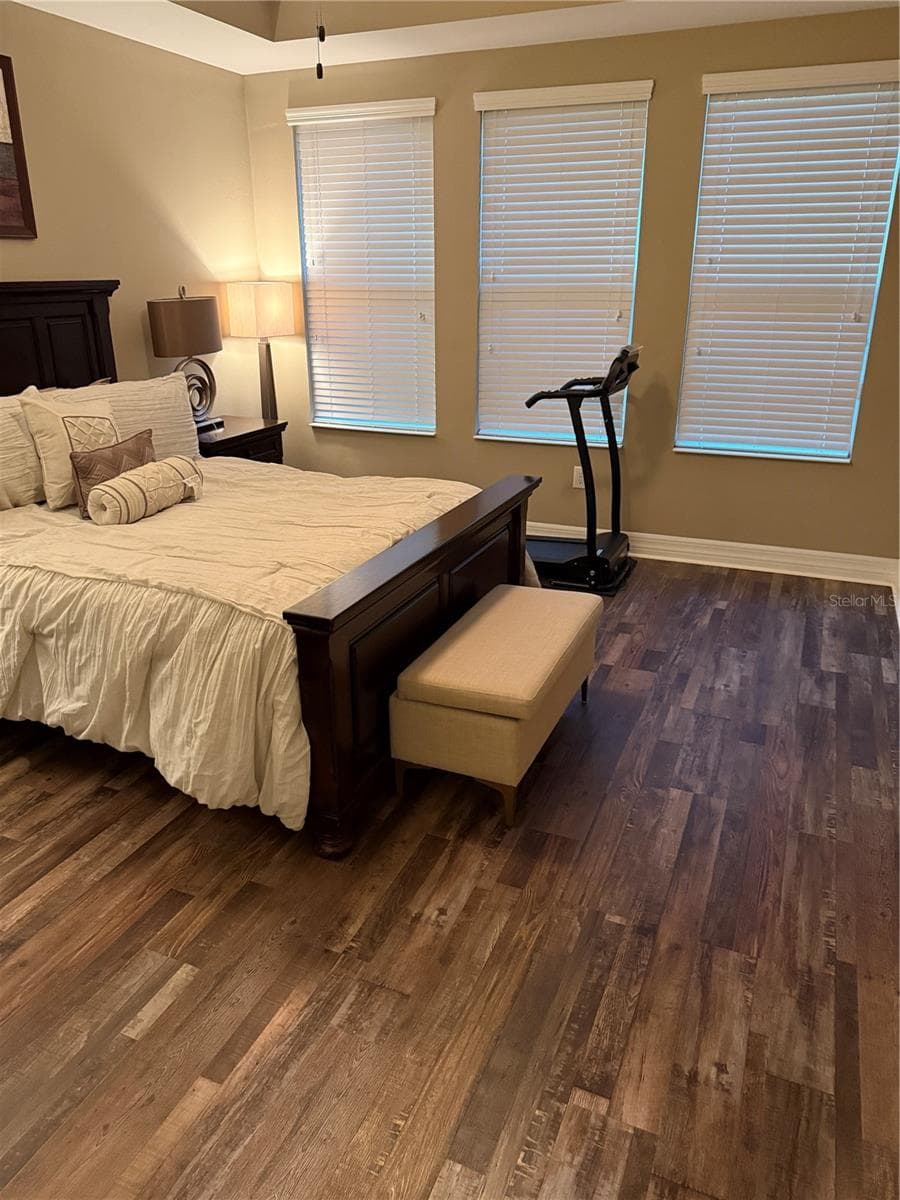 Master Bedroom - 4432 VERMILLION SKY DR, WESLEY CHAPEL