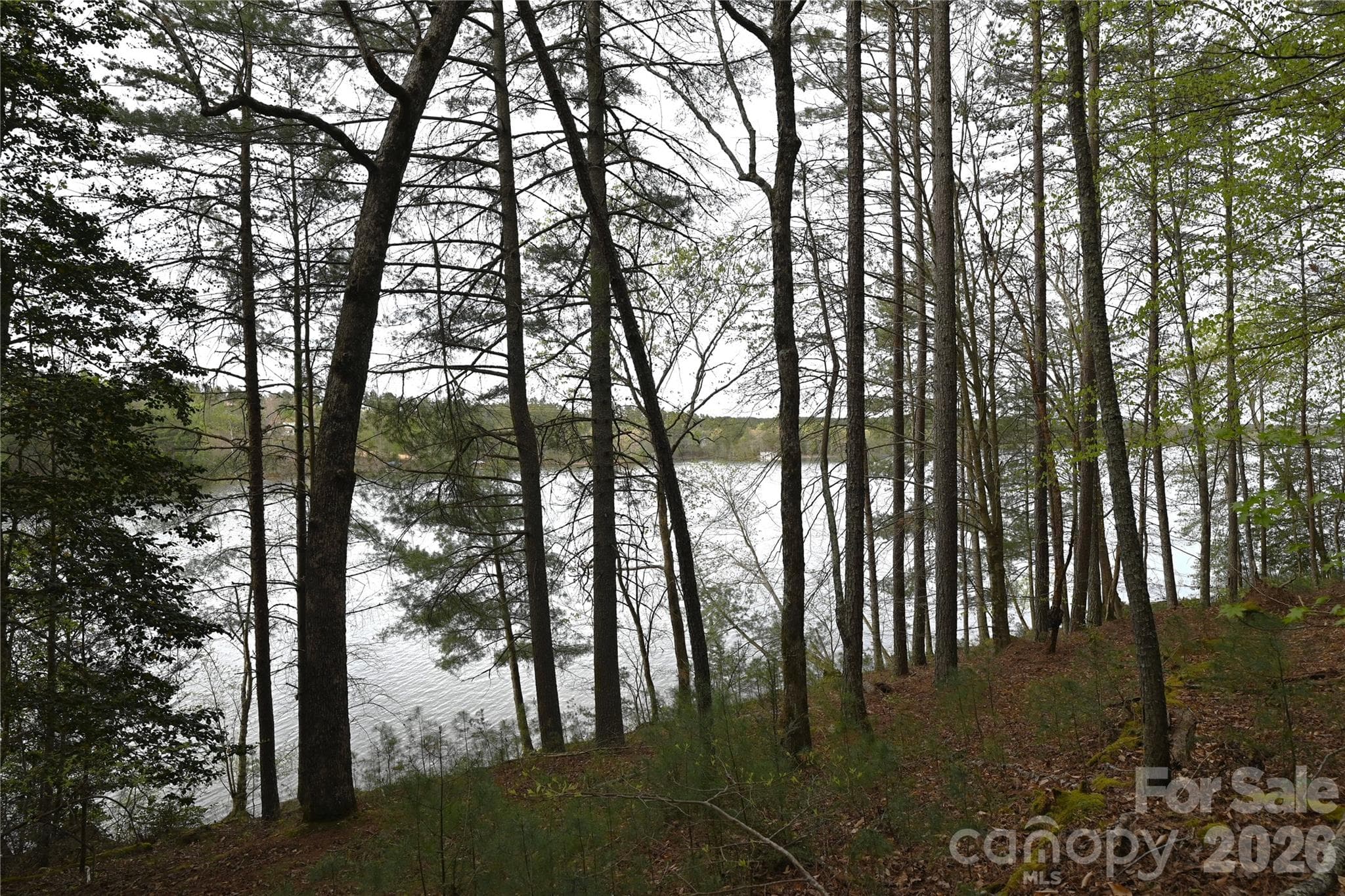500 + feet of lakefront shoreline on deep water channel. - 2299 Lighthouse Lane, Connelly Springs