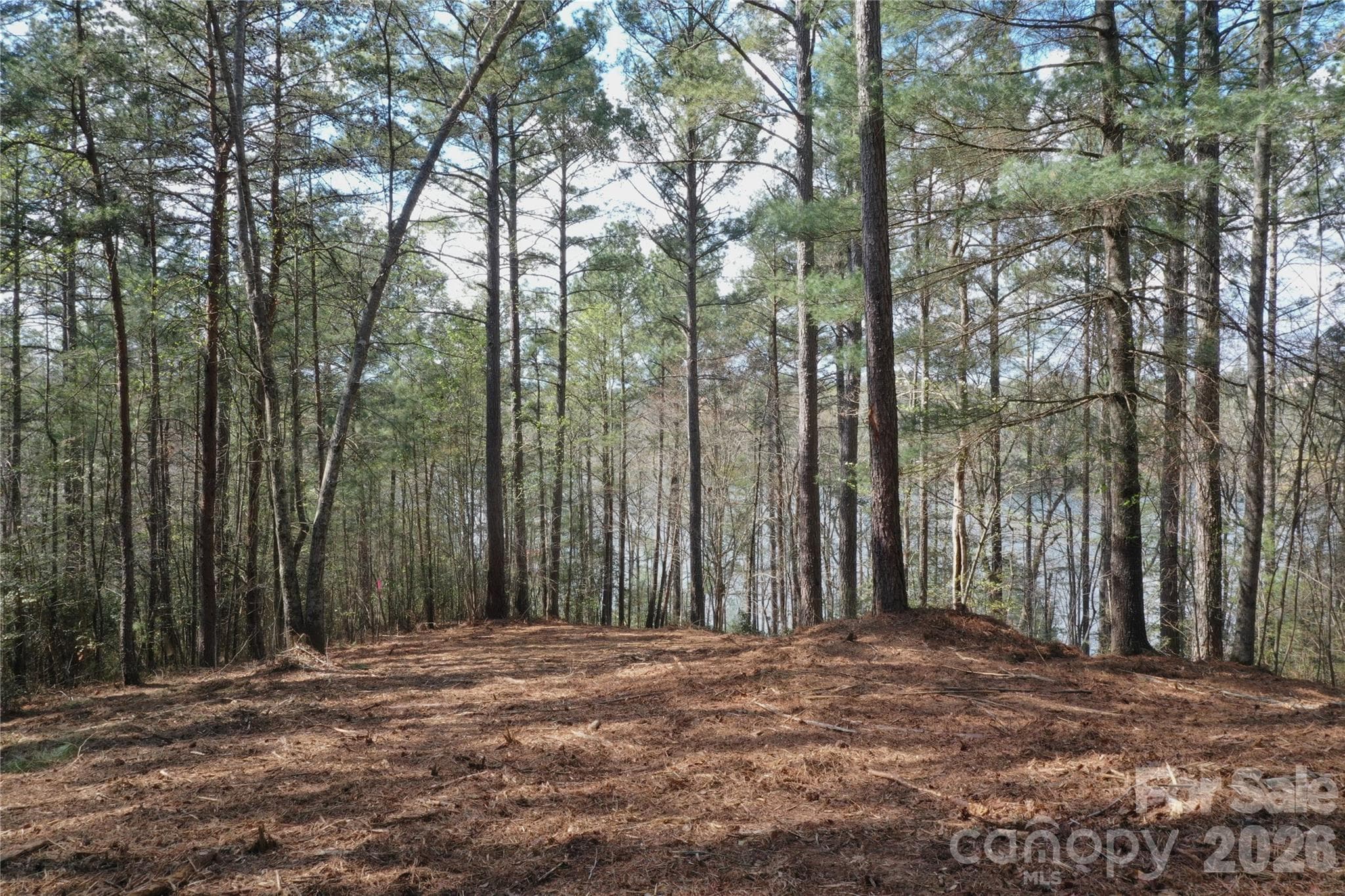 Sloping and level areas to build. - 2299 Lighthouse Lane, Connelly Springs