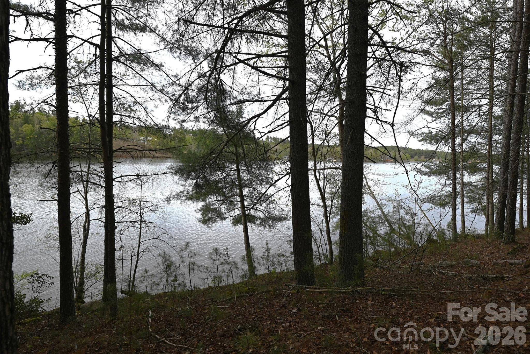 500 + feet of lakefront shoreline on deep water channel. - 2299 Lighthouse Lane, Connelly Springs