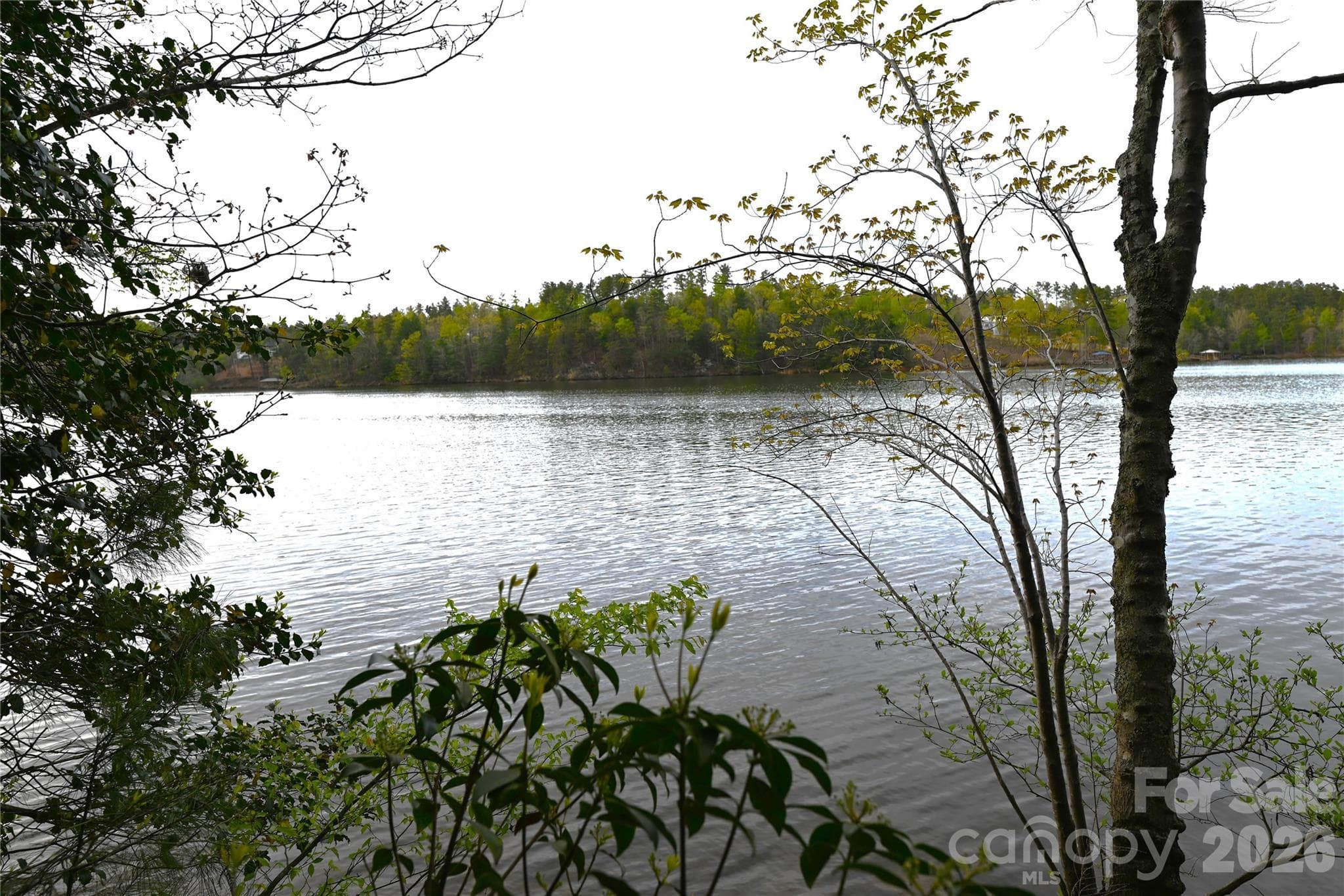 Lot at 2299 Lighthouse Lane, Connelly Springs, photo 6 of 27