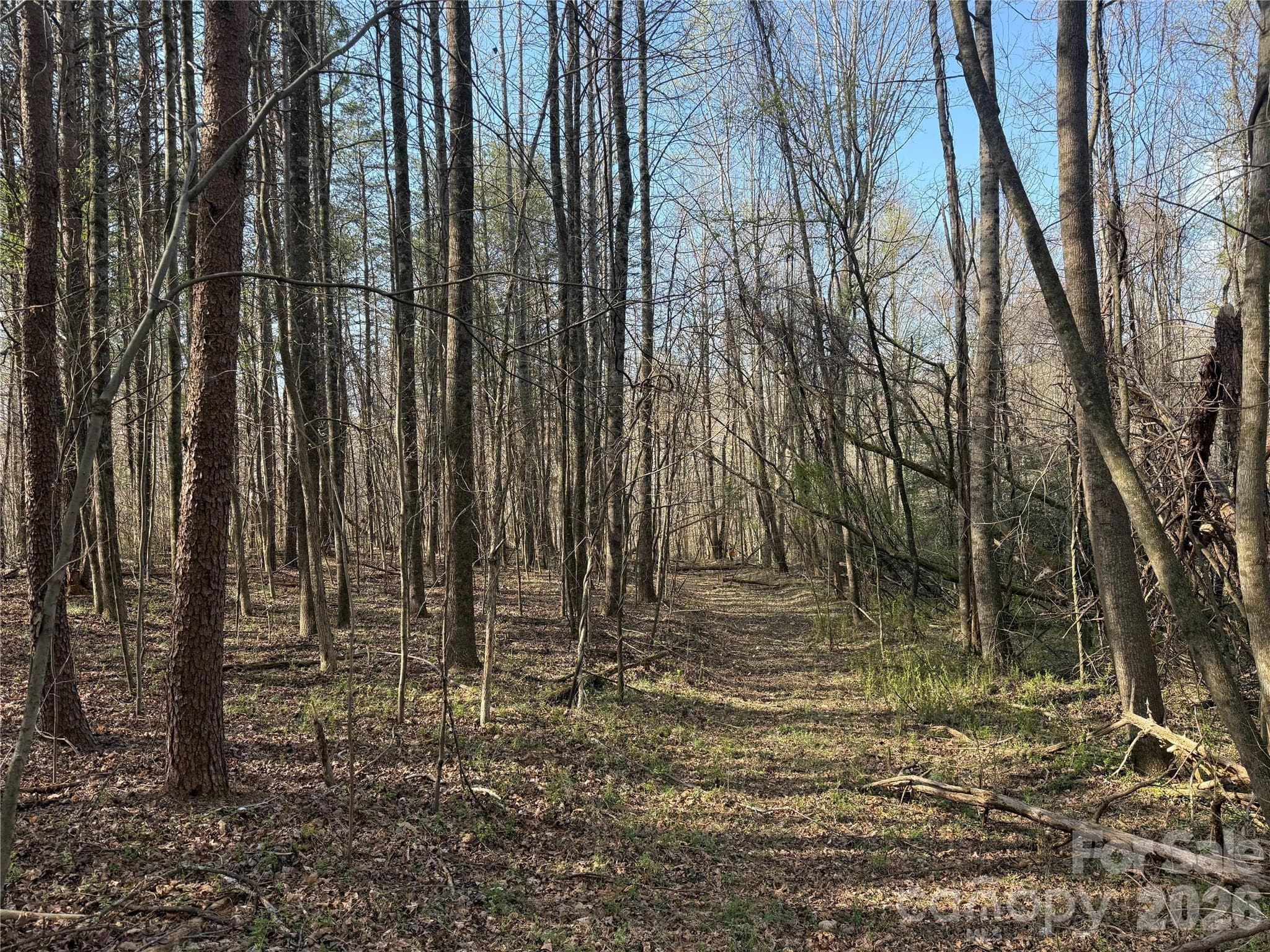 Acreage at 1164 Robert C Kellam Road, Pinnacle, photo 15 of 48