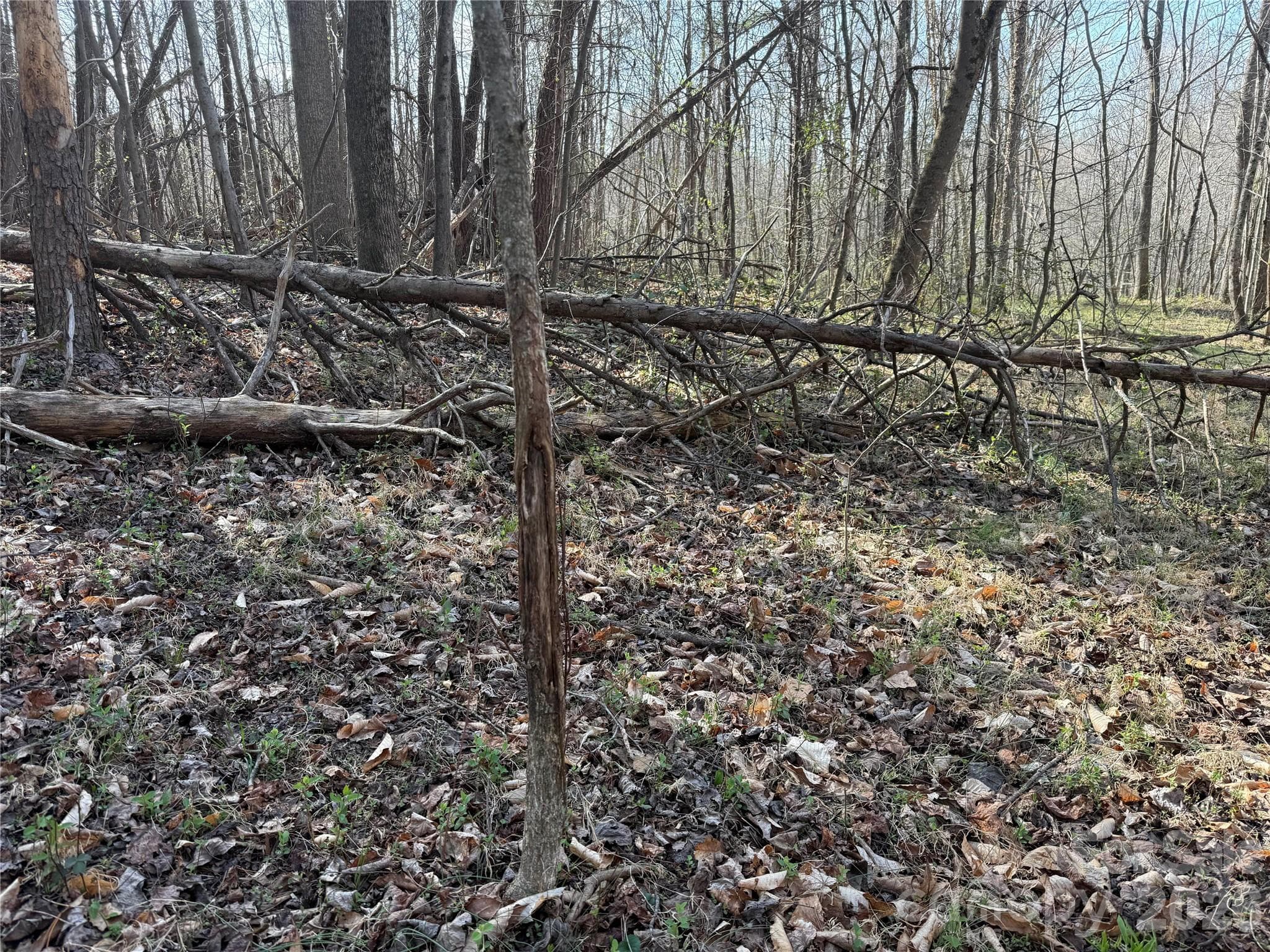 Acreage at 1164 Robert C Kellam Road, Pinnacle, photo 17 of 48