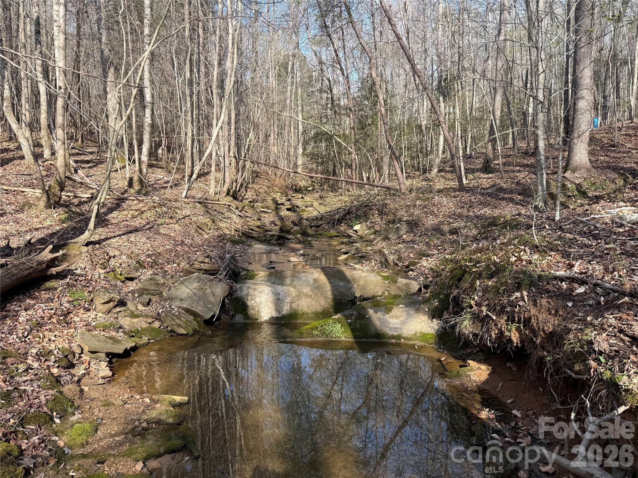 Acreage at 1164 Robert C Kellam Road, Pinnacle, photo 18 of 48