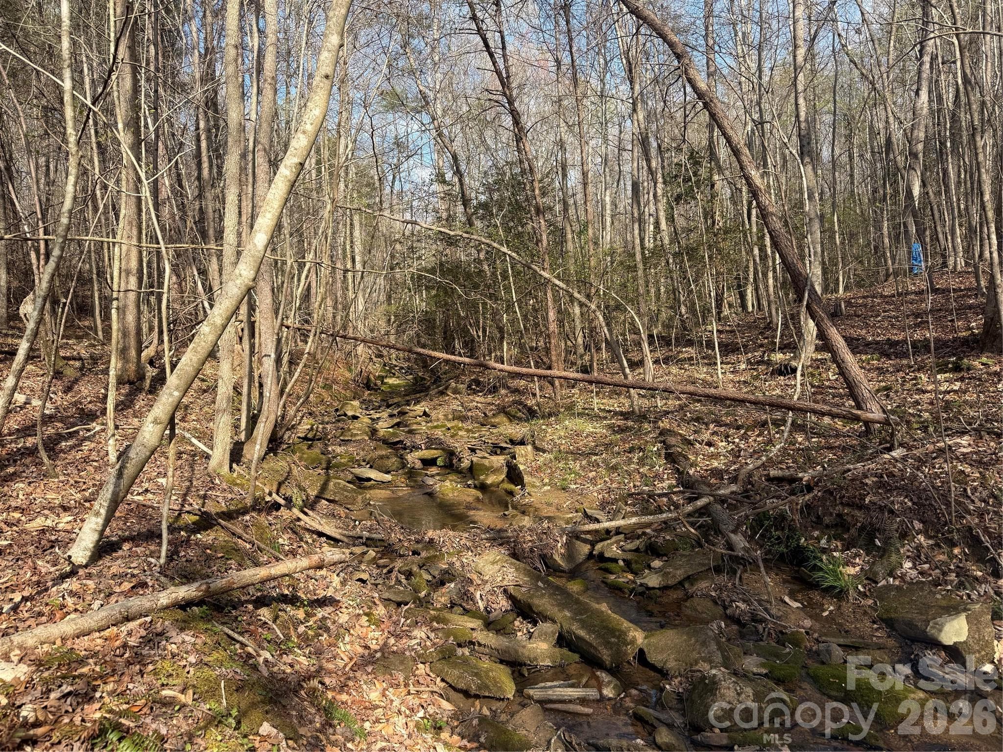 Acreage at 1164 Robert C Kellam Road, Pinnacle, photo 20 of 48