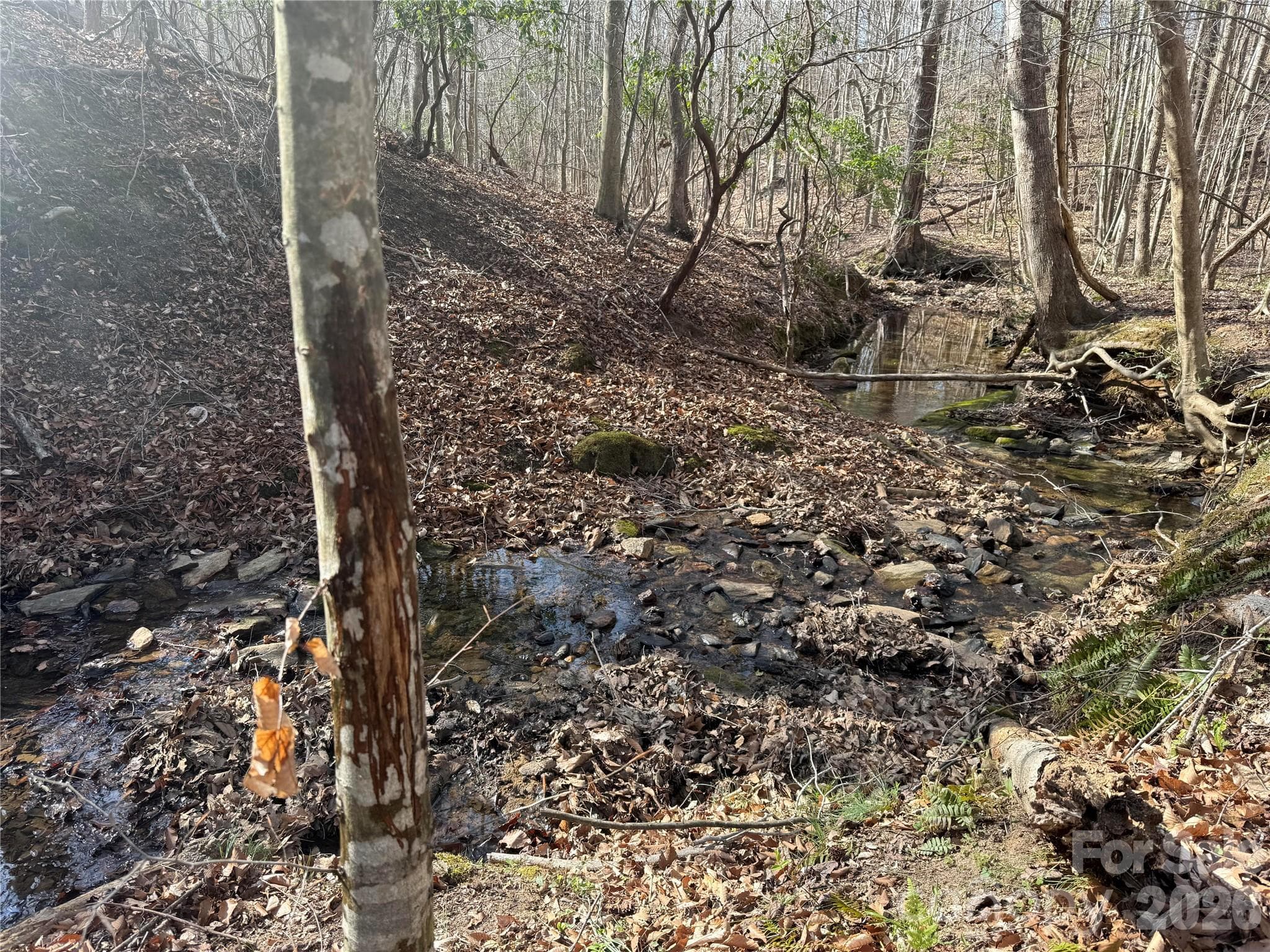 Acreage at 1164 Robert C Kellam Road, Pinnacle, photo 31 of 48