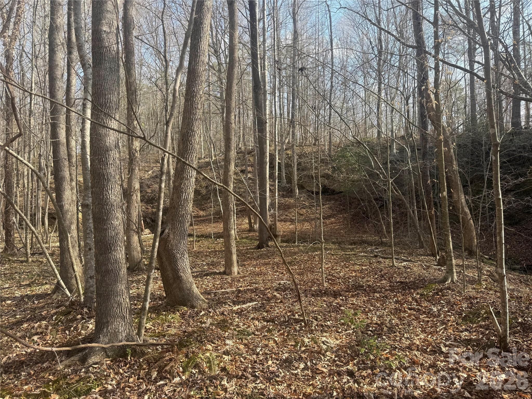 Acreage at 1164 Robert C Kellam Road, Pinnacle, photo 32 of 48