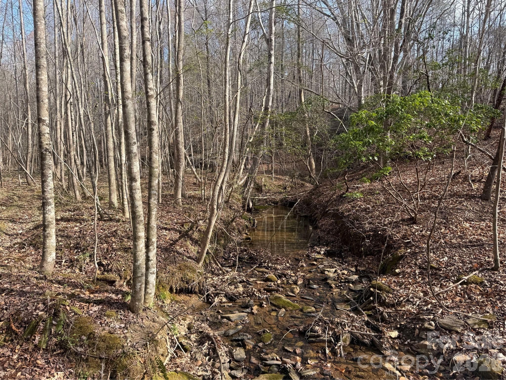 Acreage at 1164 Robert C Kellam Road, Pinnacle, photo 33 of 48