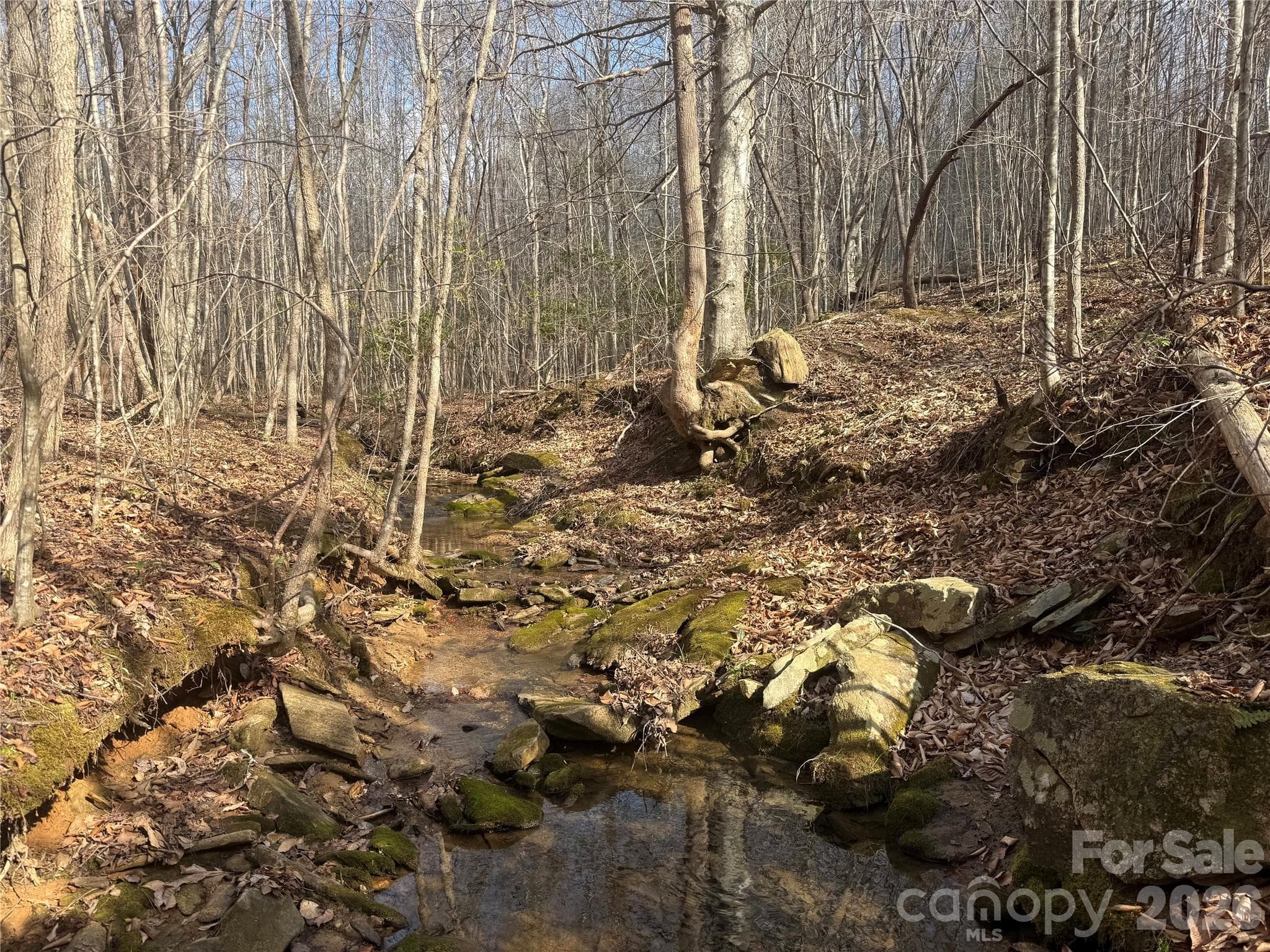 Acreage at 1164 Robert C Kellam Road, Pinnacle, photo 34 of 48