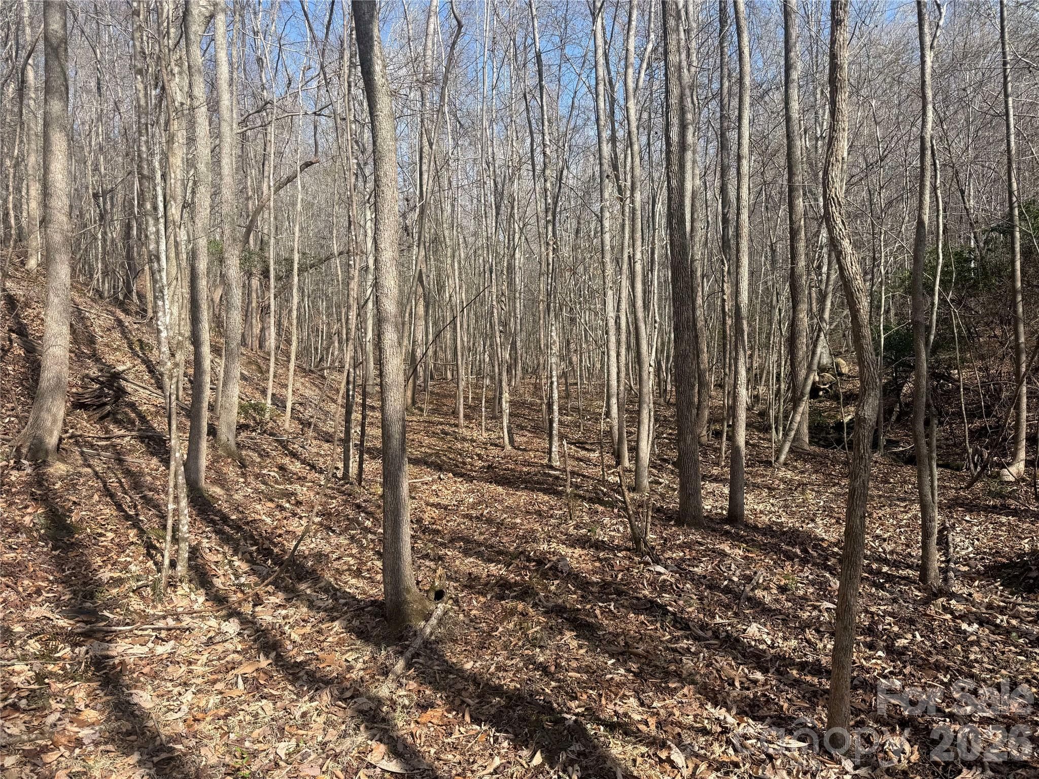Acreage at 1164 Robert C Kellam Road, Pinnacle, photo 35 of 48