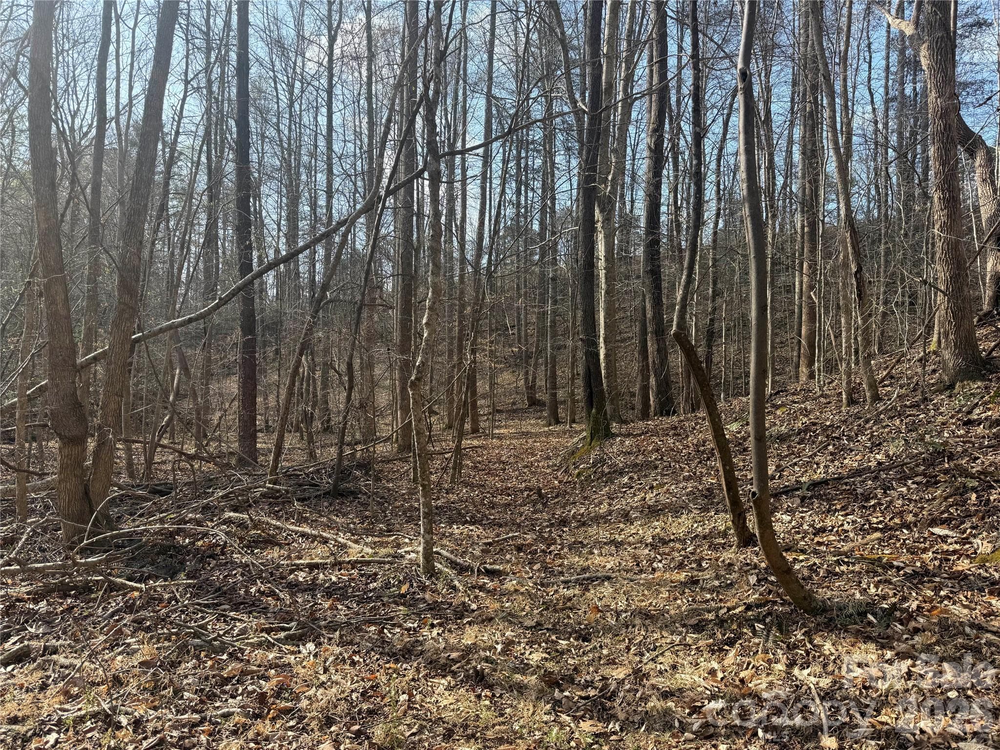 Acreage at 1164 Robert C Kellam Road, Pinnacle, photo 36 of 48