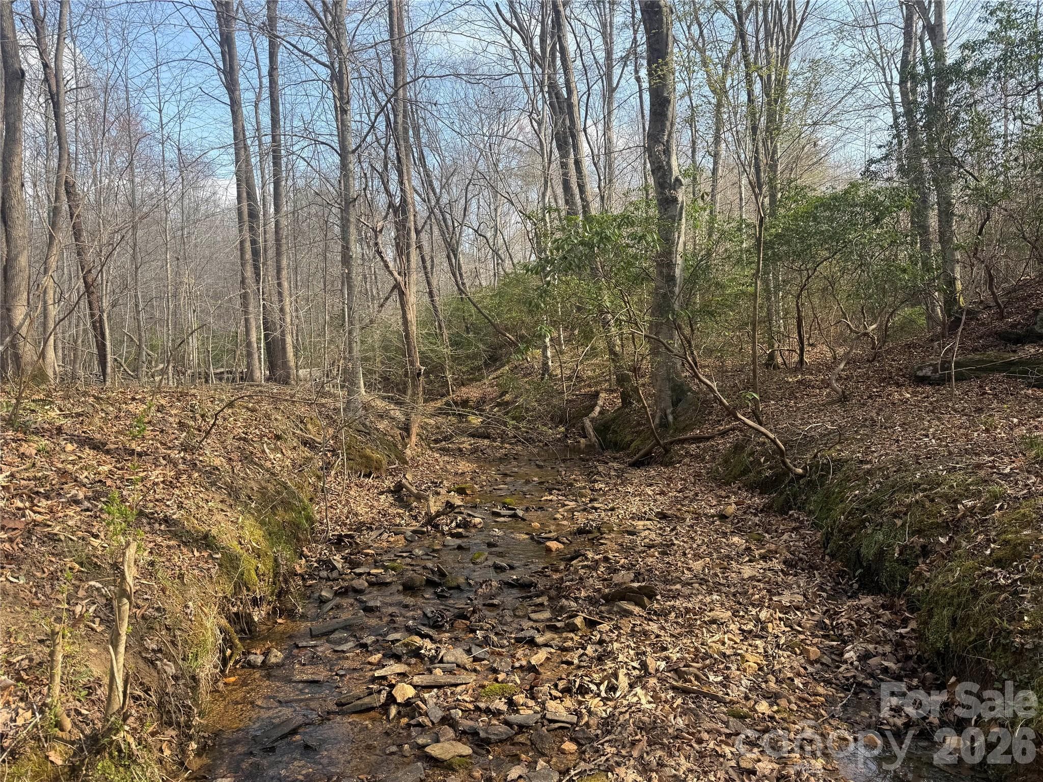 Acreage at 1164 Robert C Kellam Road, Pinnacle, photo 37 of 48