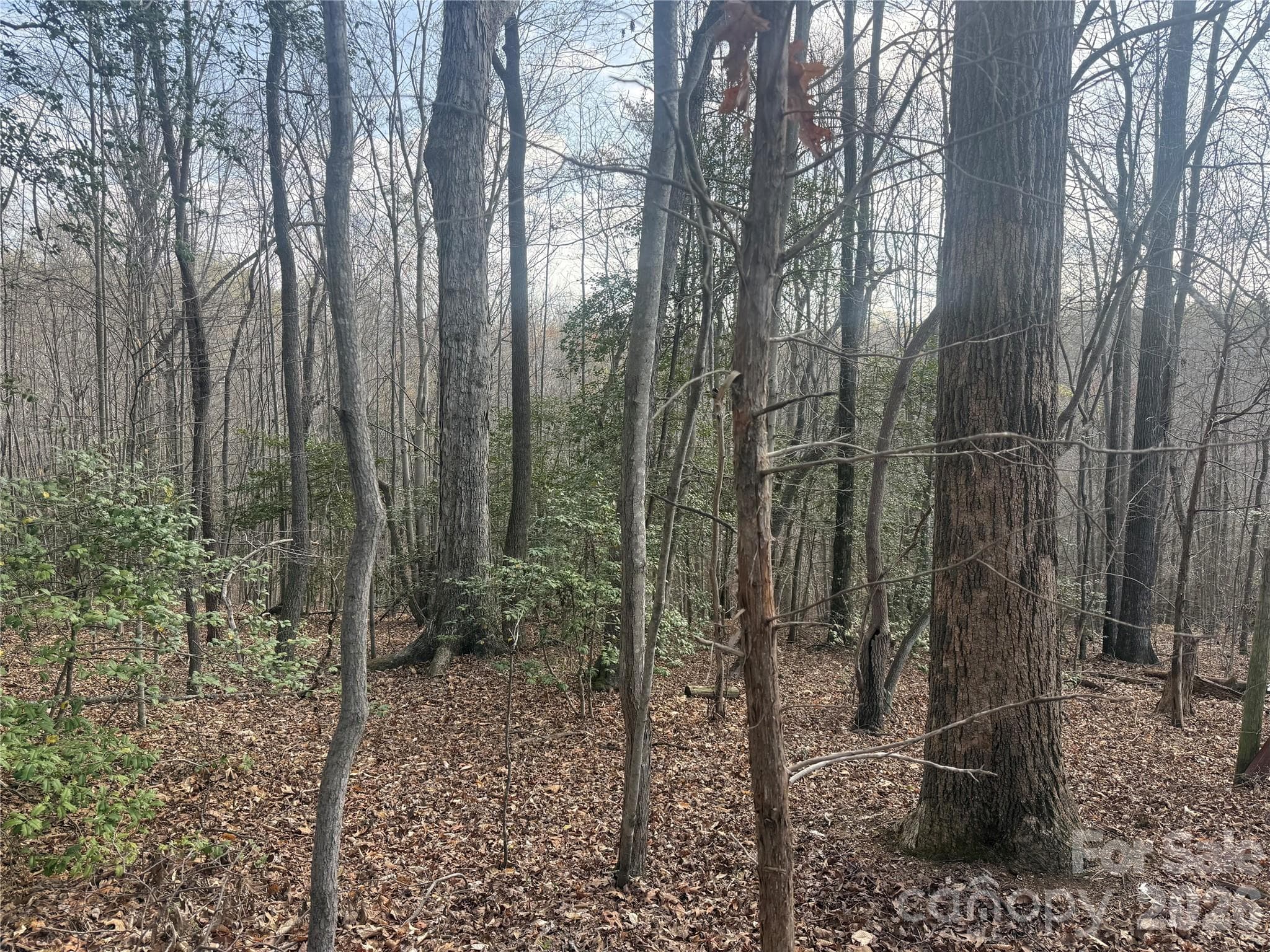 Acreage at 1164 Robert C Kellam Road, Pinnacle, photo 41 of 48