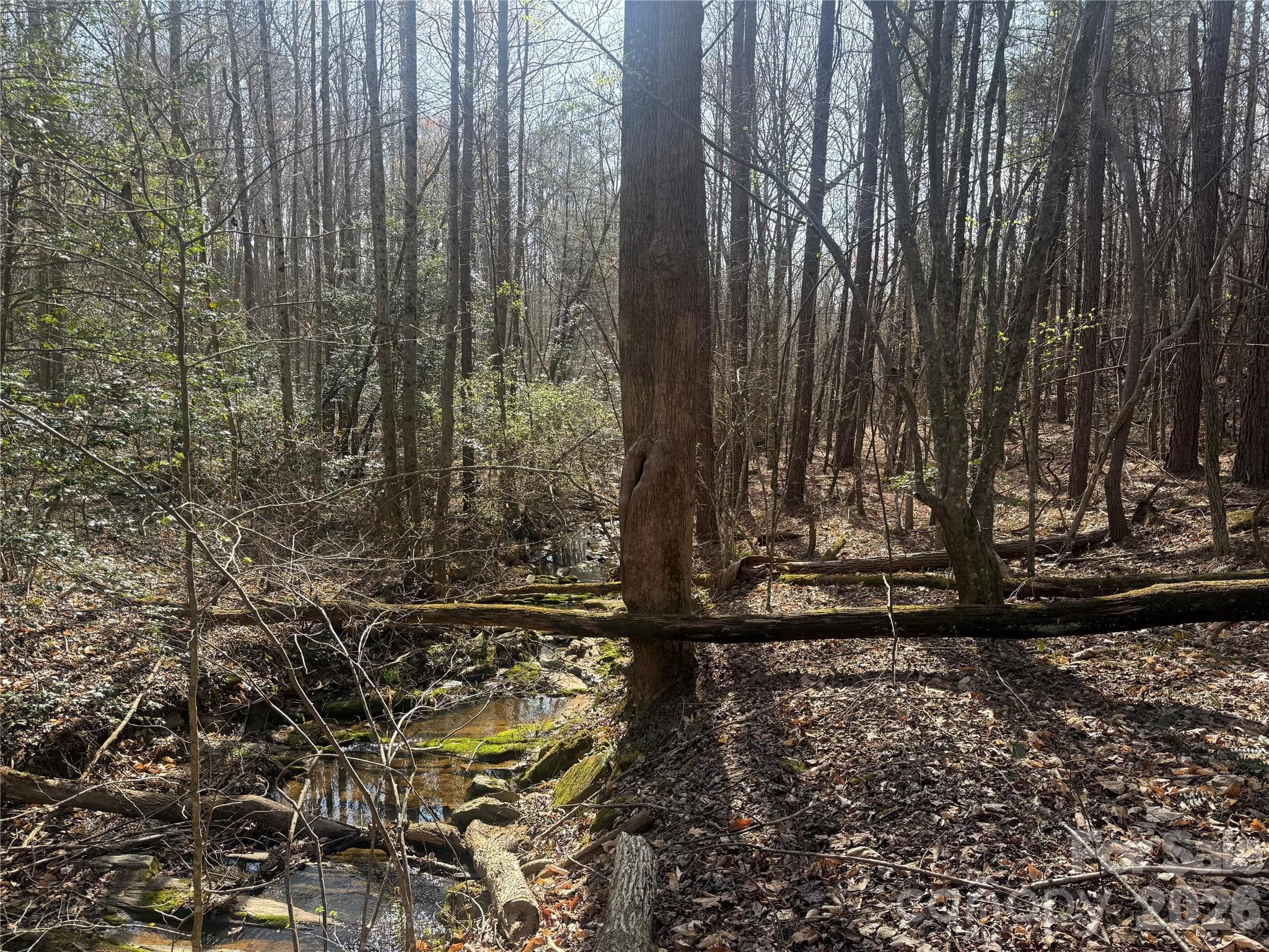 Acreage at 1164 Robert C Kellam Road, Pinnacle, photo 43 of 48