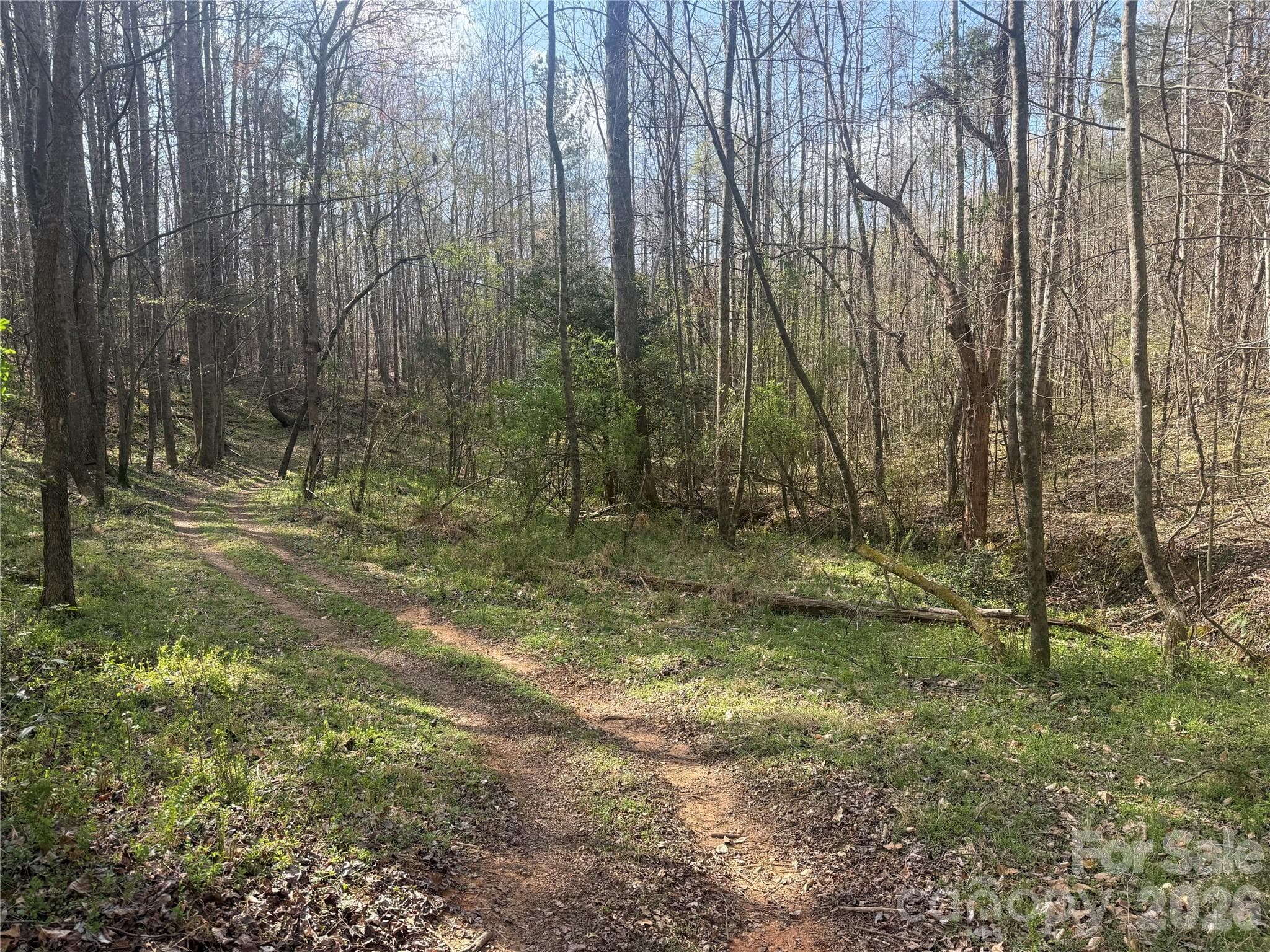 Acreage at 1164 Robert C Kellam Road, Pinnacle, photo 46 of 48
