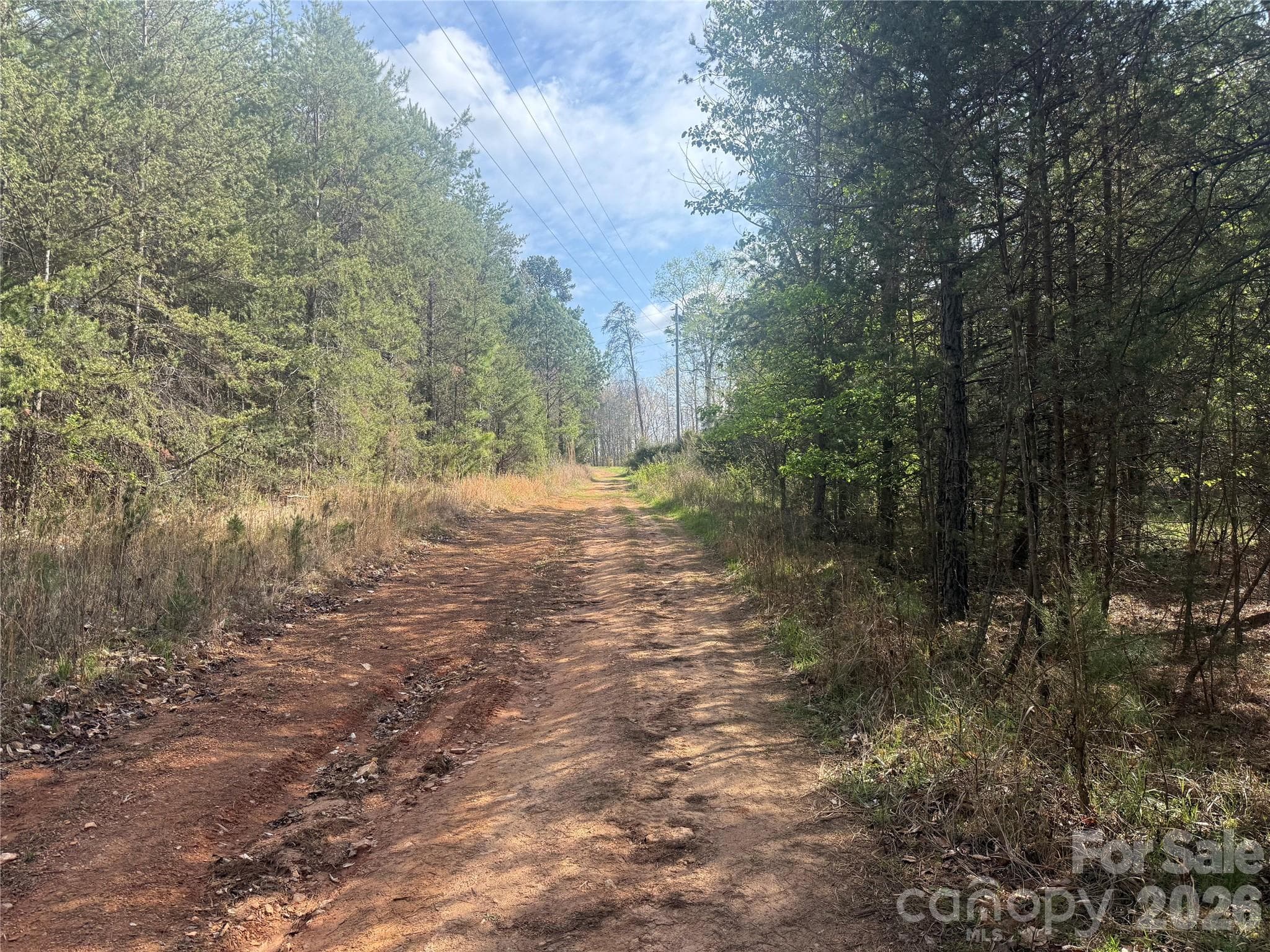 Acreage at 1164 Robert C Kellam Road, Pinnacle, photo 47 of 48