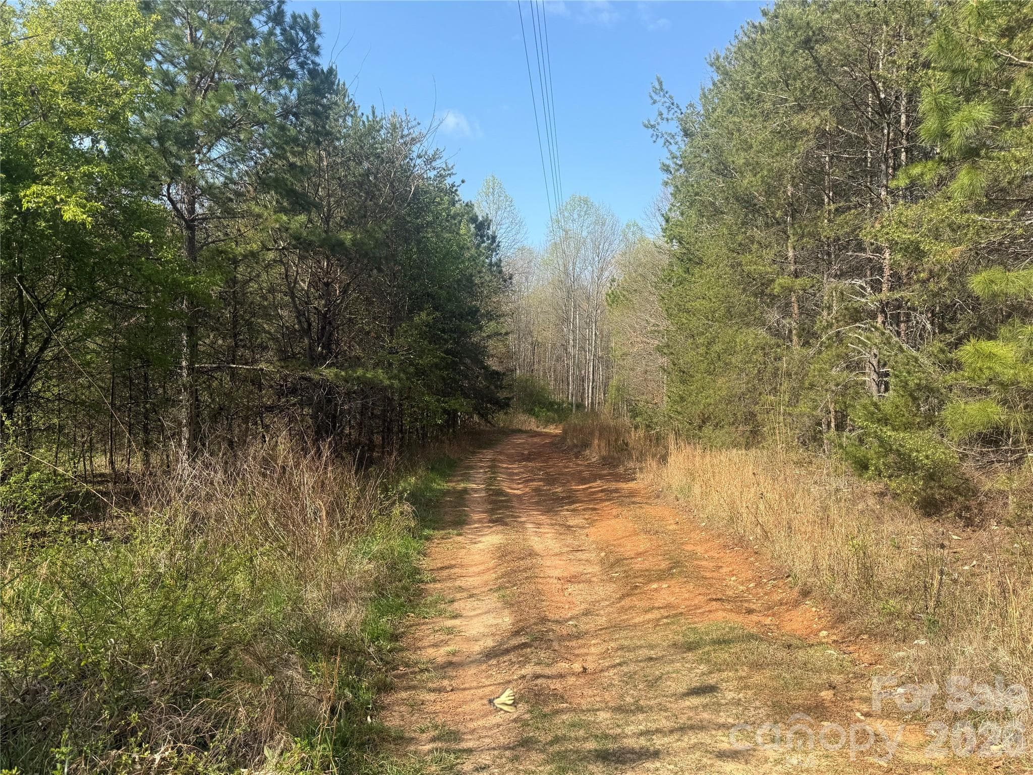 Acreage at 1164 Robert C Kellam Road, Pinnacle, photo 48 of 48