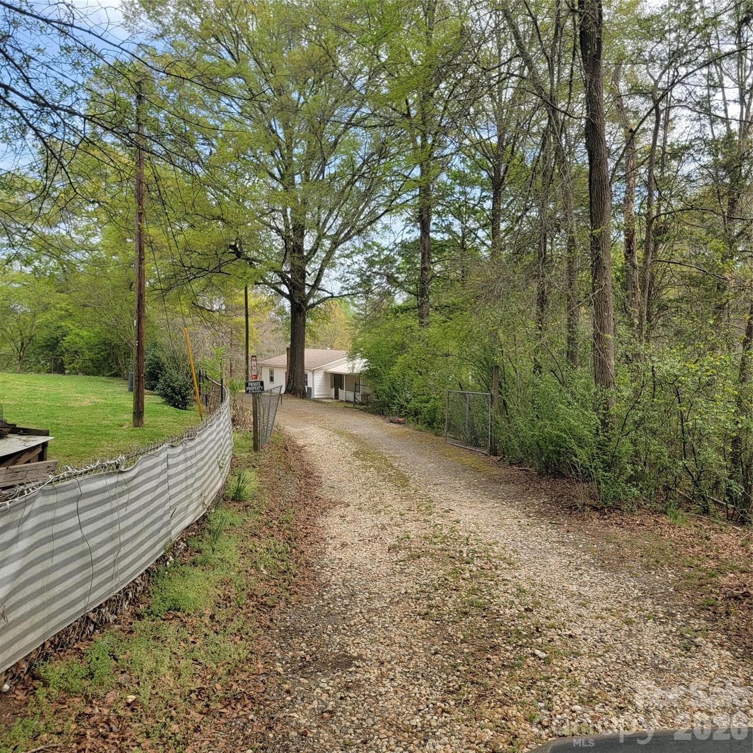 The road leading up to the homesites - Belmont