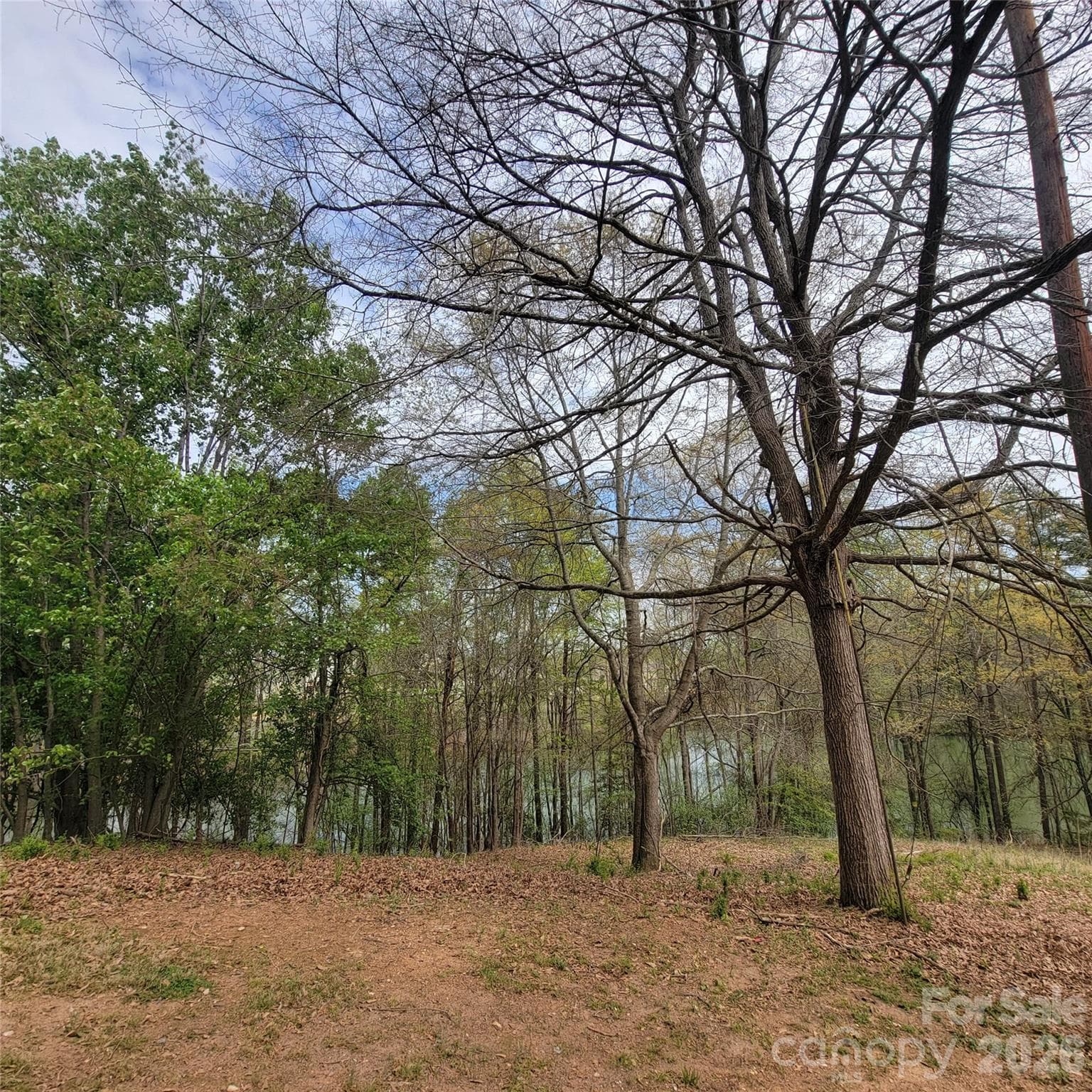 Water views on the R edge of parcel #2 and the L side of parcel #1 - Belmont