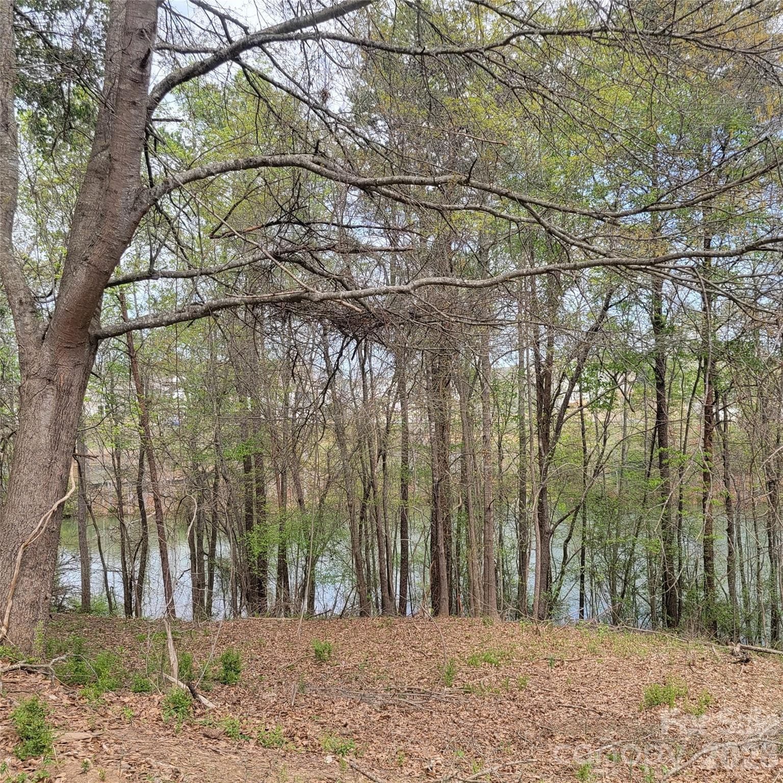 Lake Wylie Views through the trees - Belmont