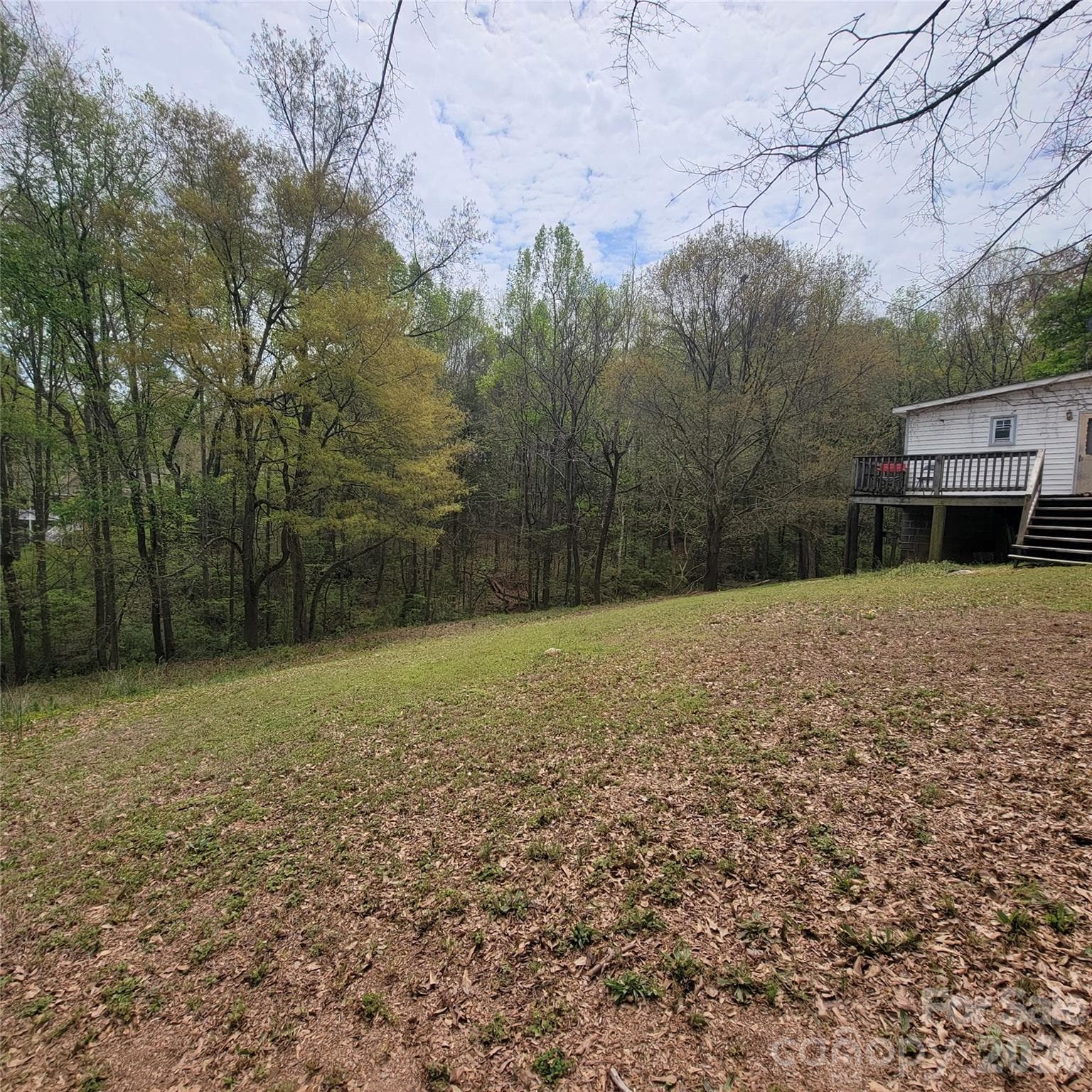 The land behind 230 Walnut Street (parcel #1) - Belmont