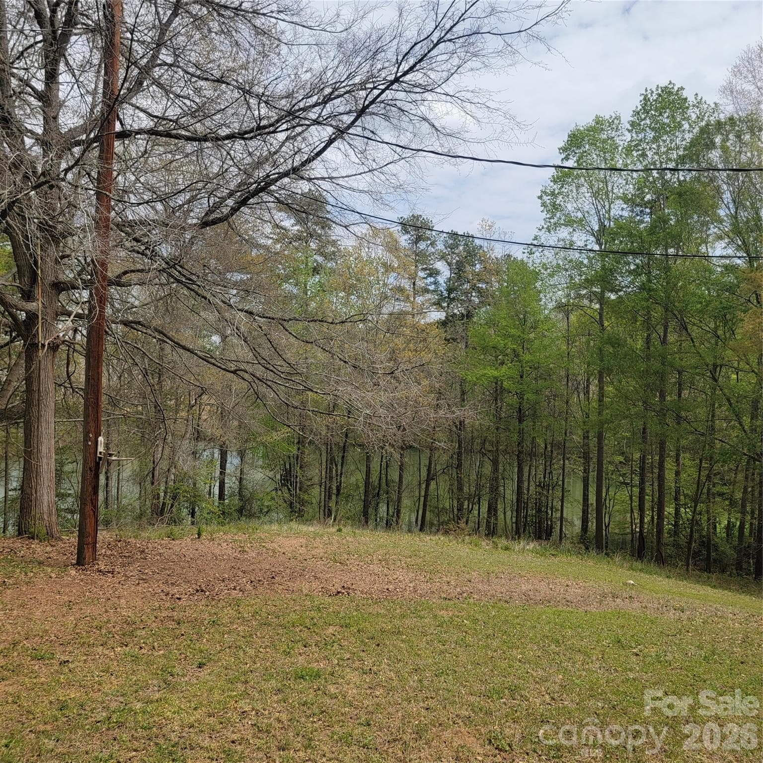 the Waterfront land to the left of the parcel with the house on it (230 Walnut Street, Parcel #1) - Belmont