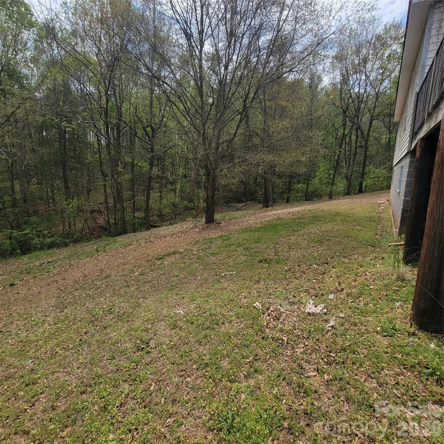 Behind the homesite with the house on it (230 Walnut Street, parcel #1) - Belmont