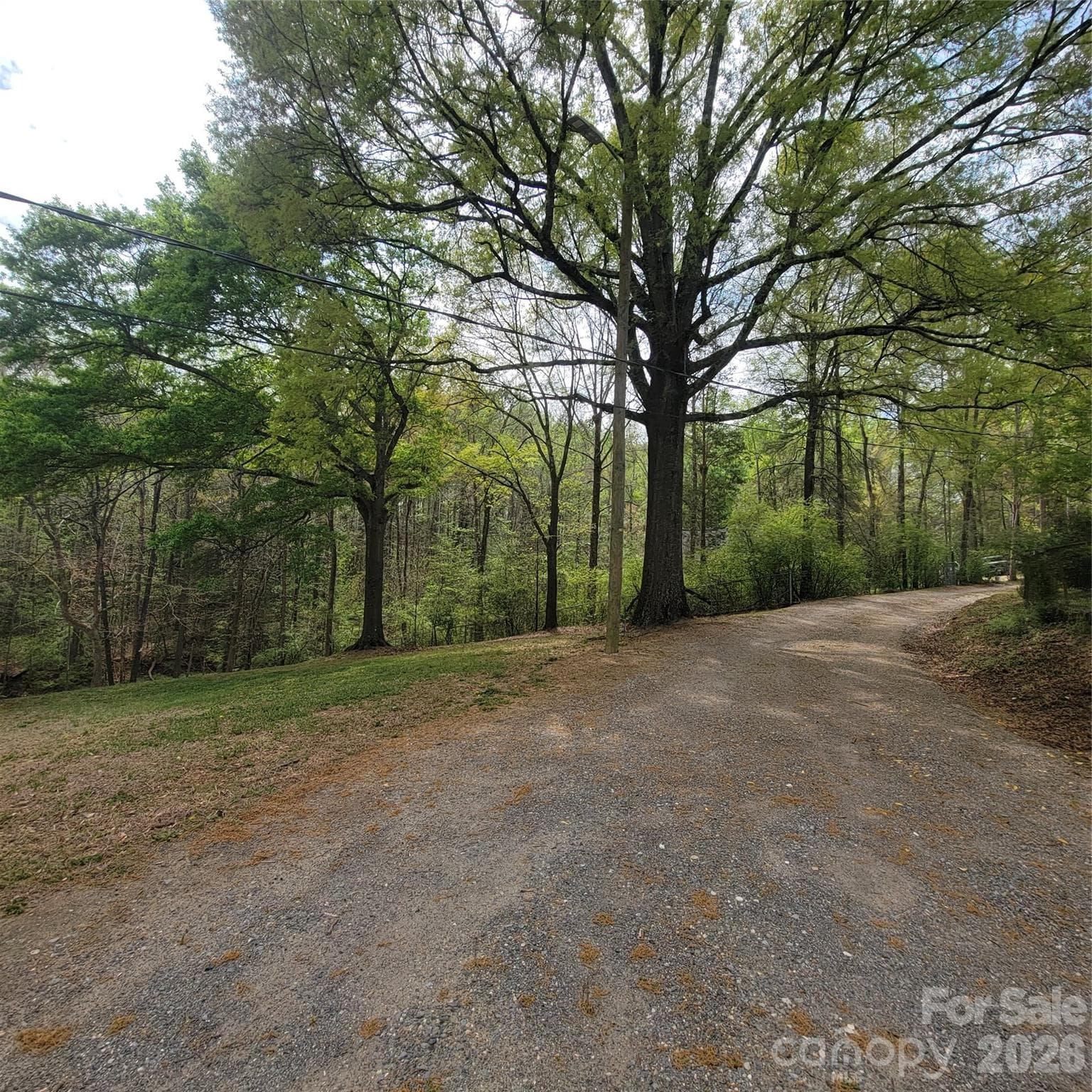 The road leading up to the Private Homesites - Belmont