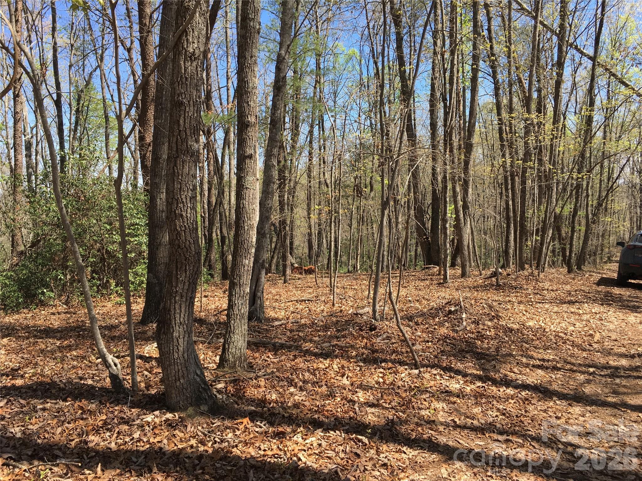 Acreage at 00 Lytle Mountain Road, Marion, photo 43 of 43